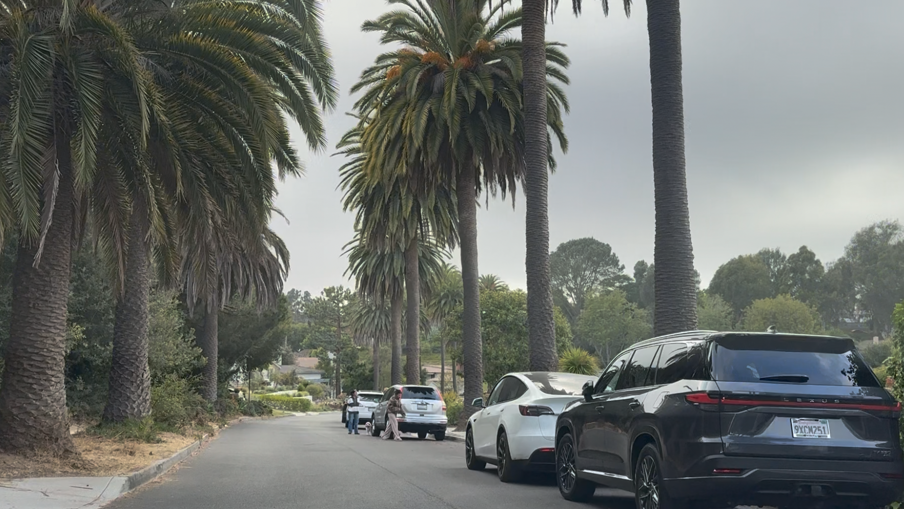 Via Cardelina in Valmonte, Palos Verdes Estates