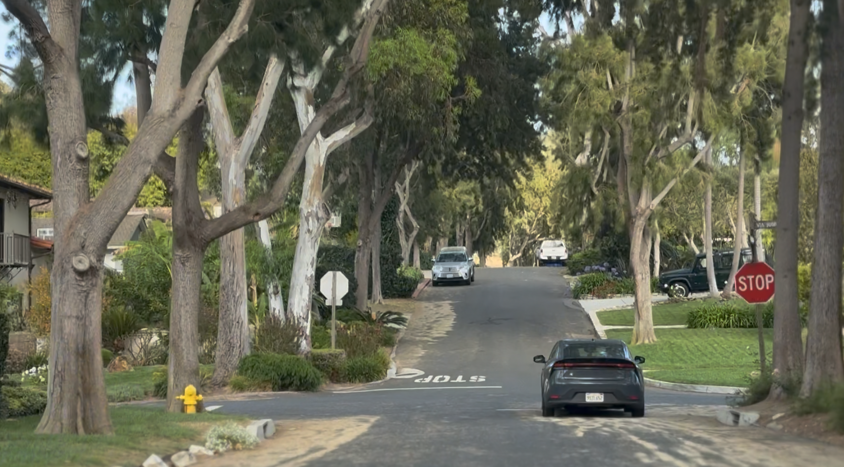 Via Palomino in Valmonte, Palos Verdes Estates