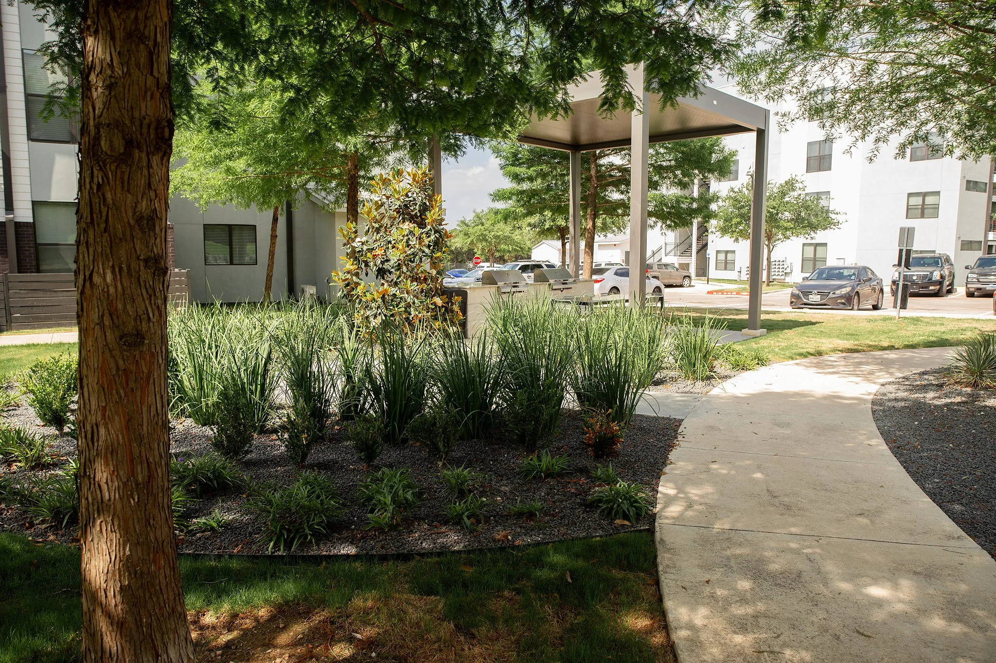 web-20230508-Cortland Bluff Springs-0004.jpg