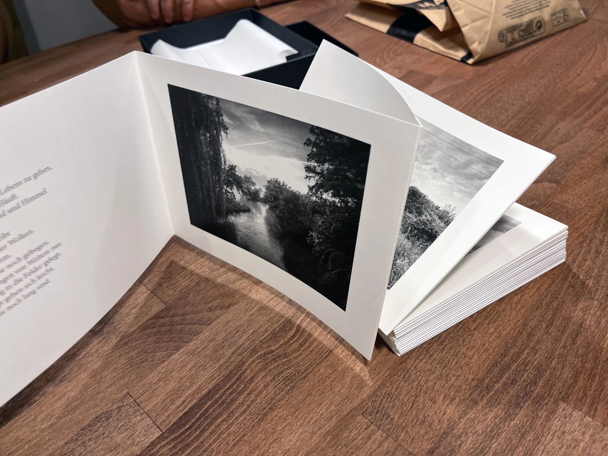 September: Die Fotobücher des Monats