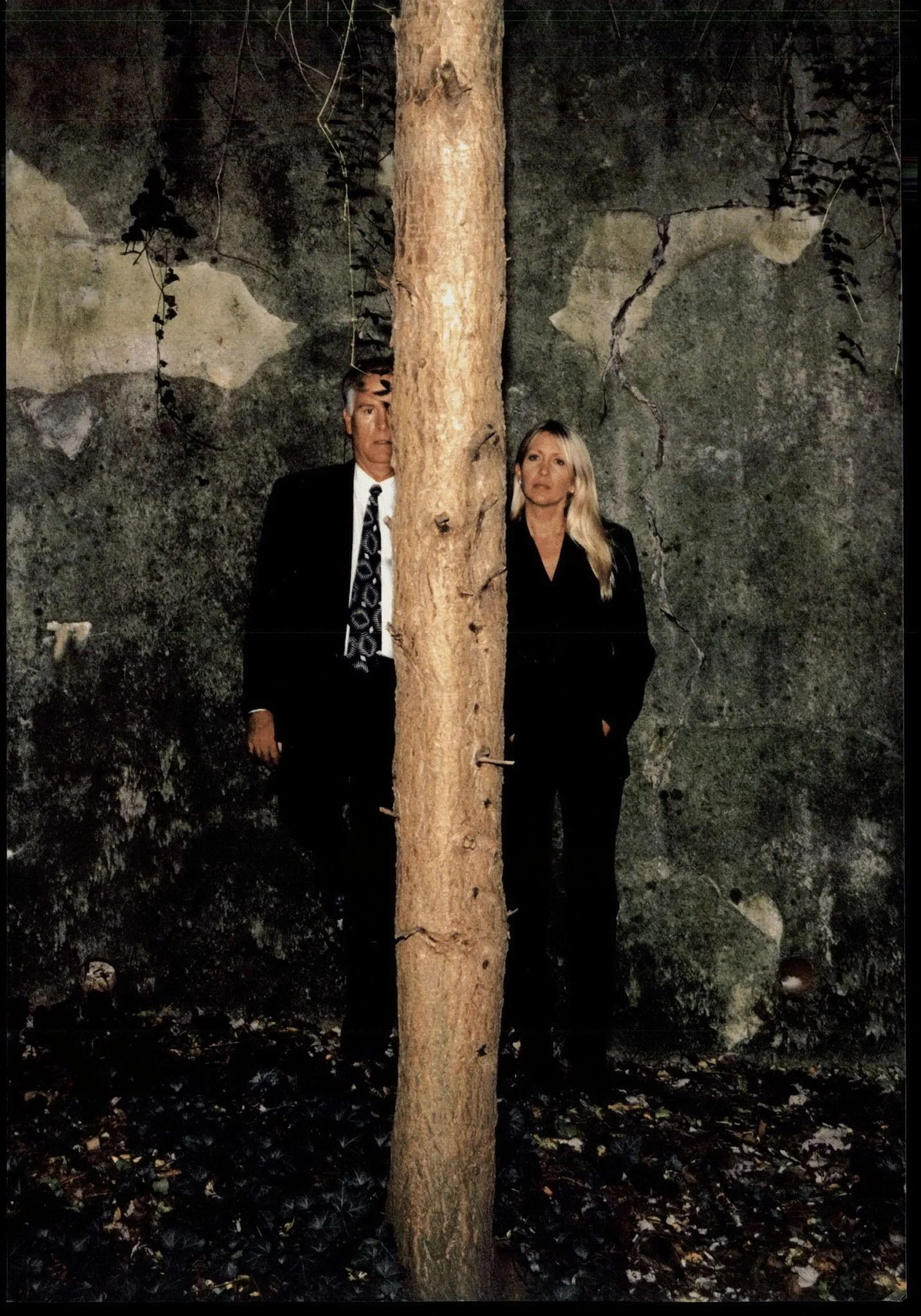 17. Sommese for carousel.jpg