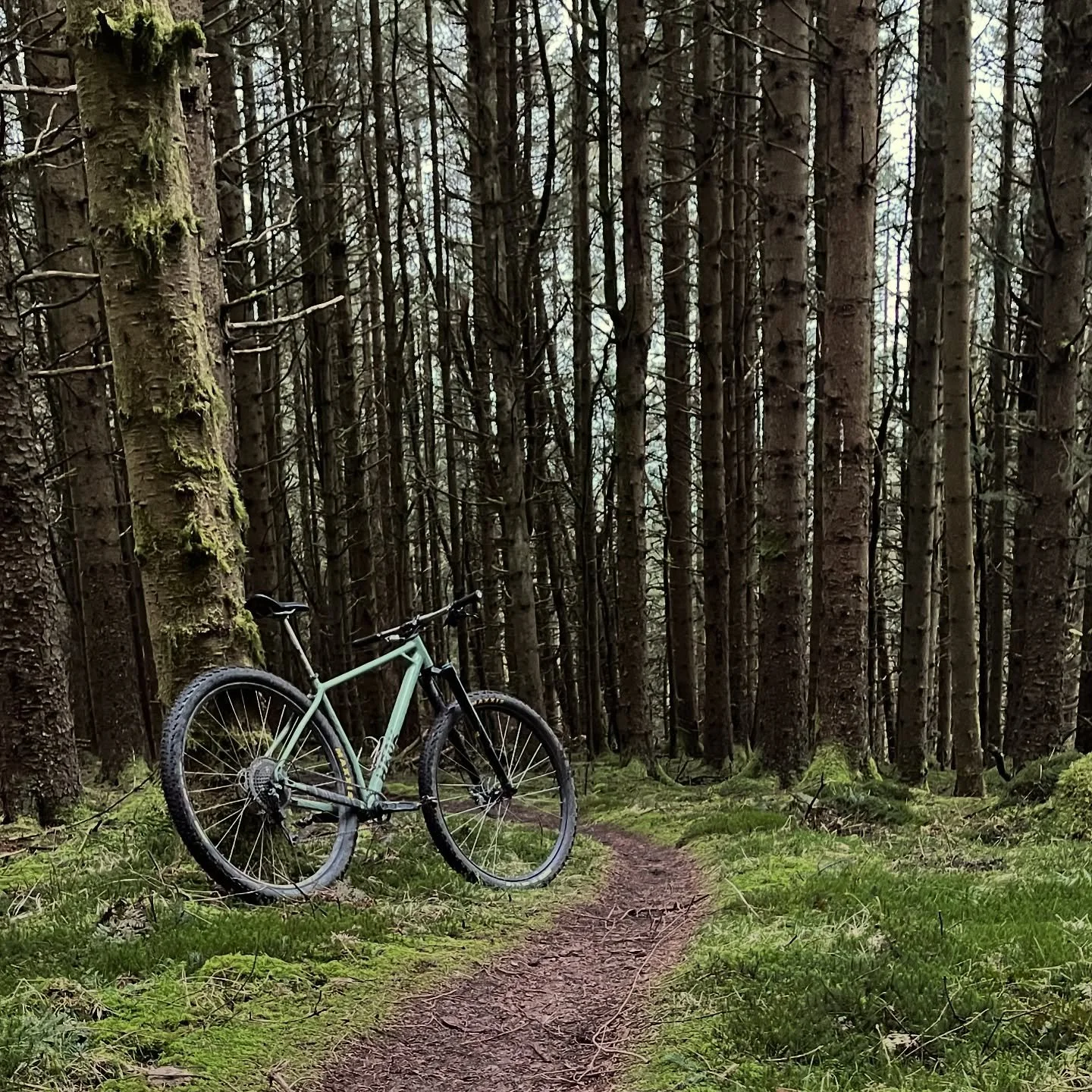 The perfect evening. Birdsong, empty trails and not a breath of wind. #springishere
