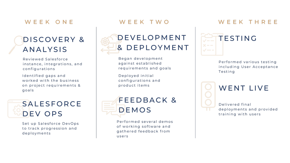 Salesforce Case Study — Hylaine