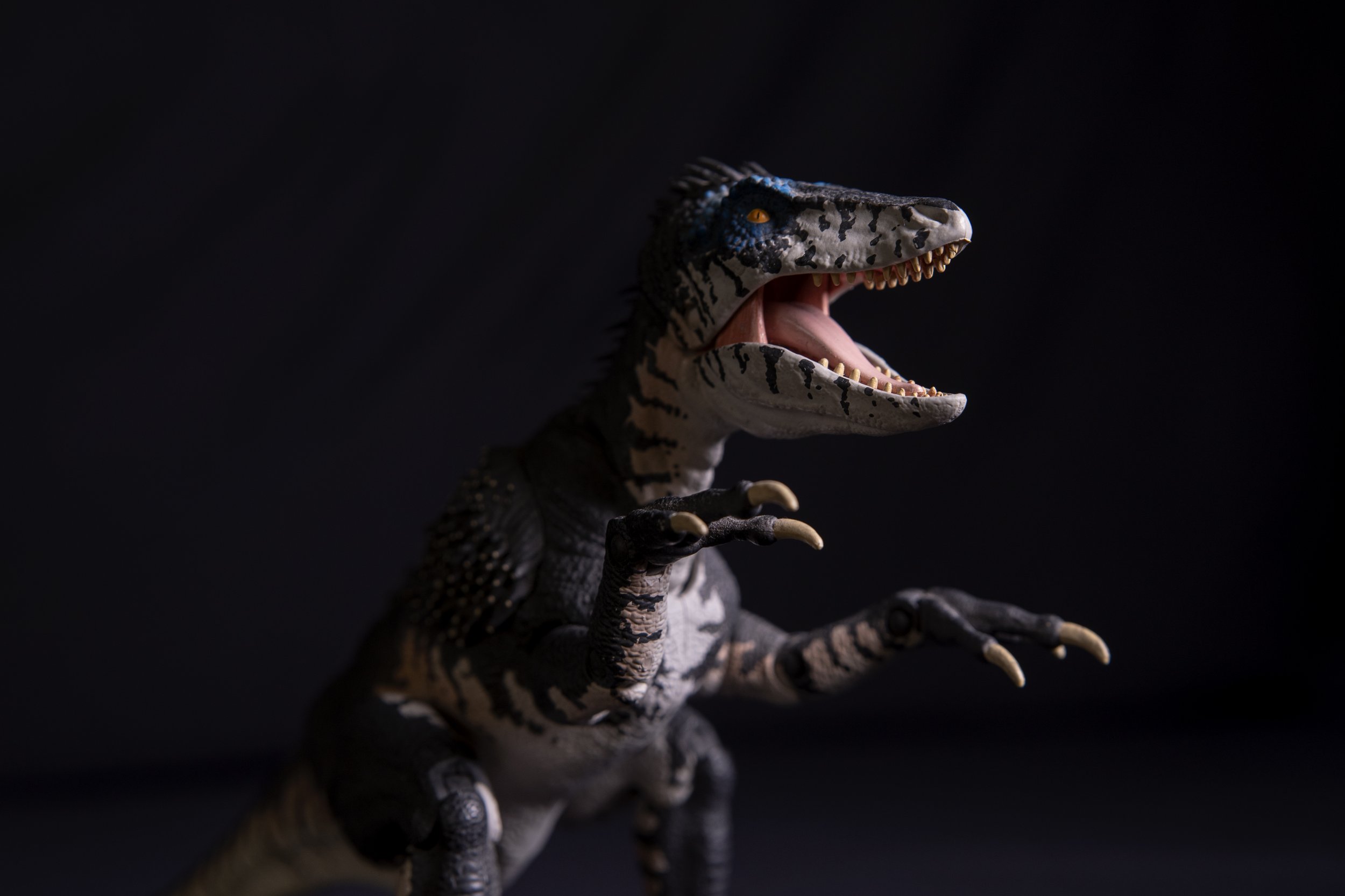 Dinosaur_dragon_toy_sculpts_20230817 (23)_edit copy.jpg