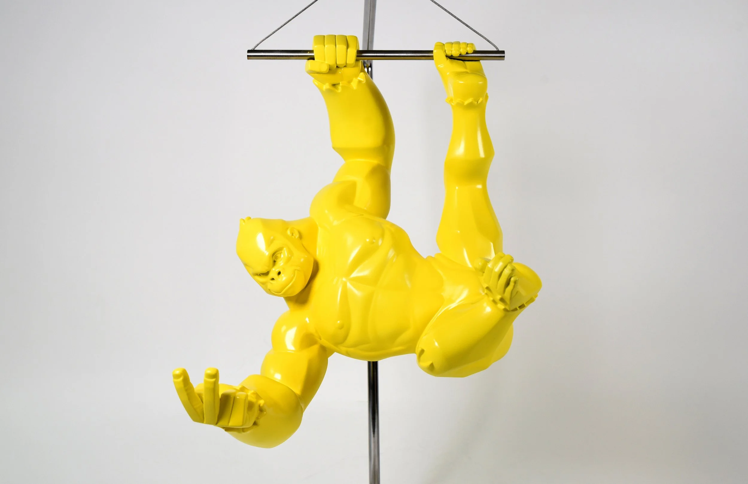 hanging_dev_ (4).JPG