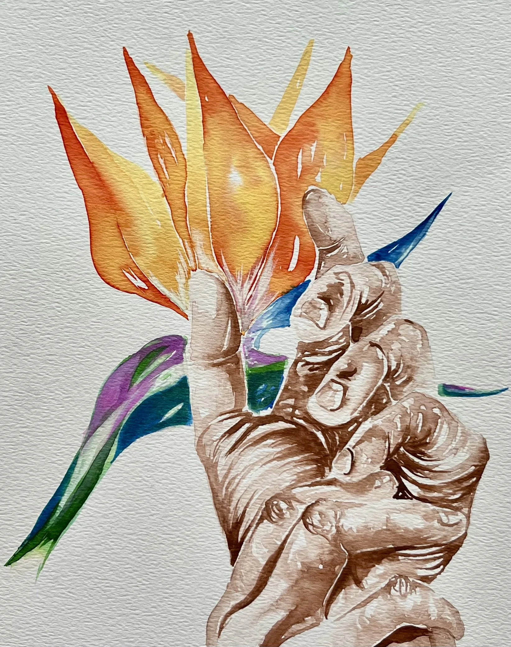 December 3 - Bird of Paradise