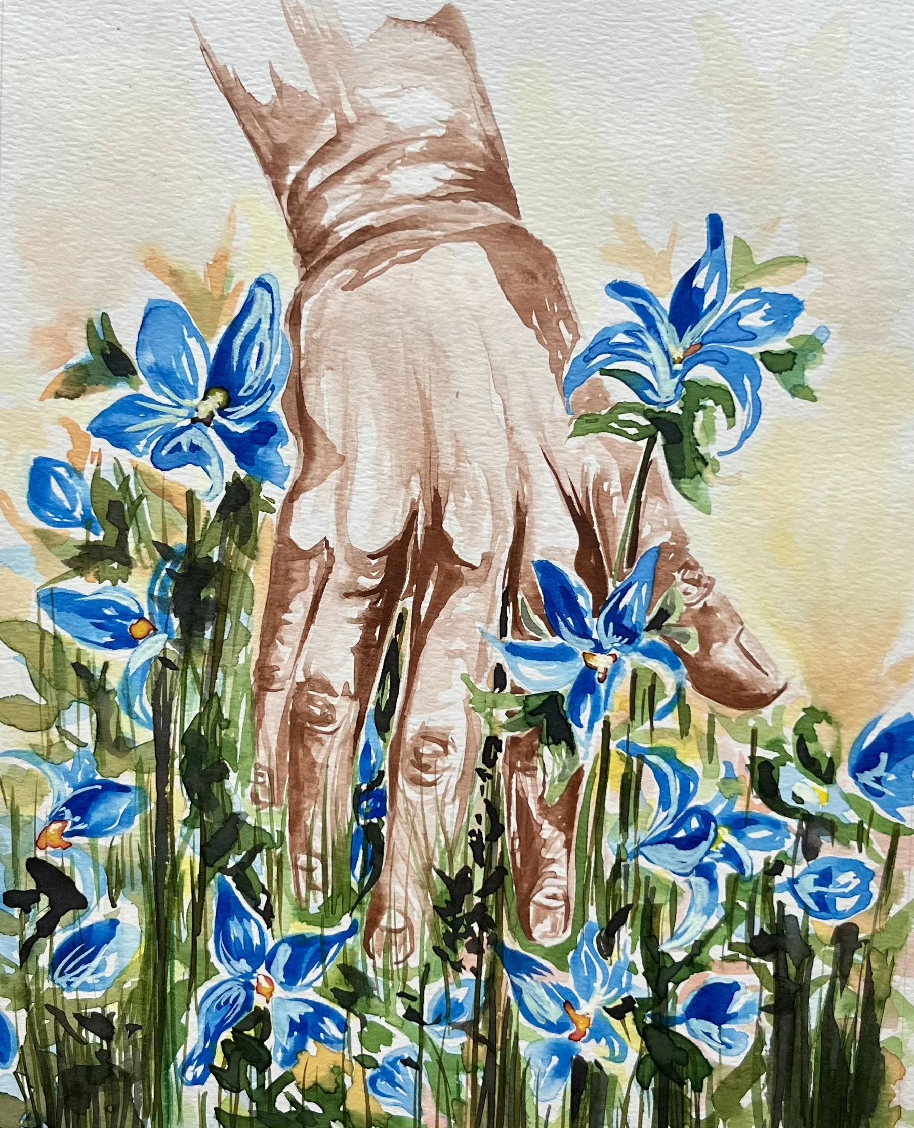 December 2 - Bluebell