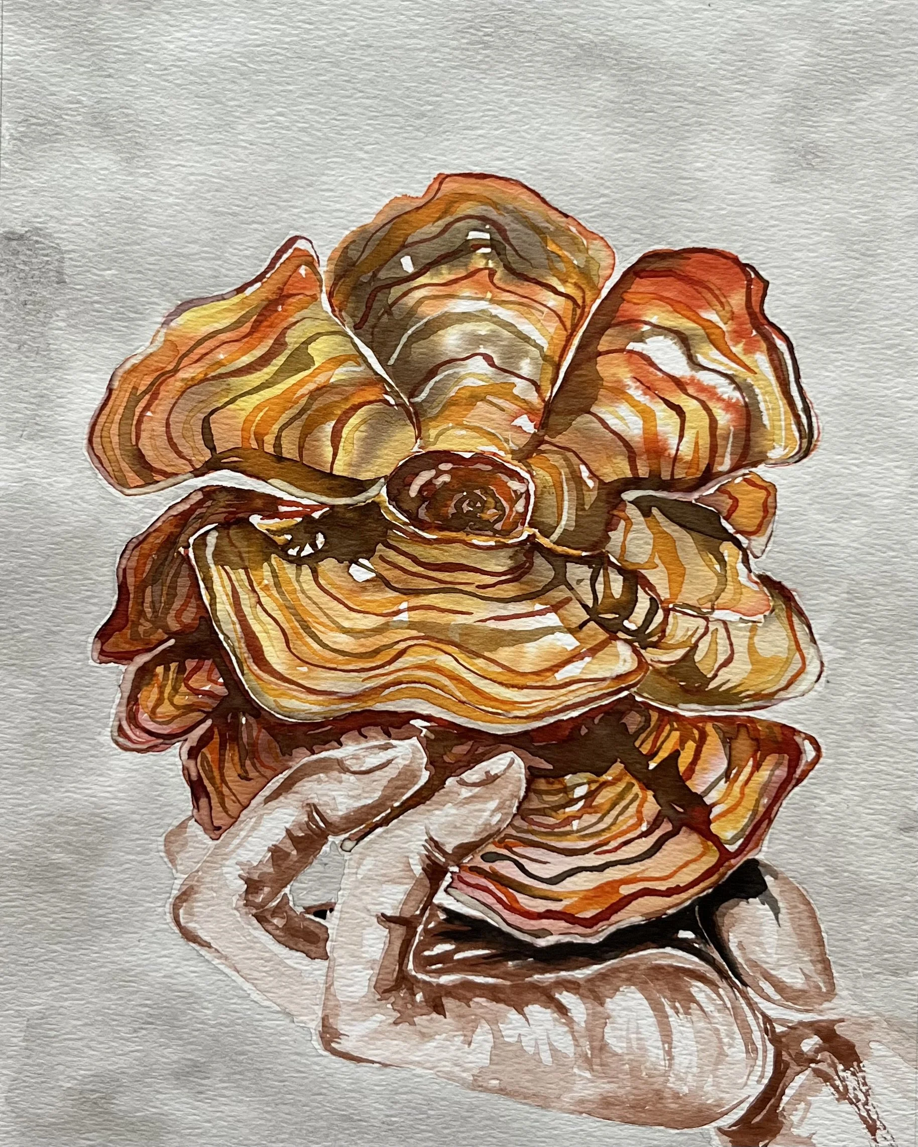 December 10 - Reishi