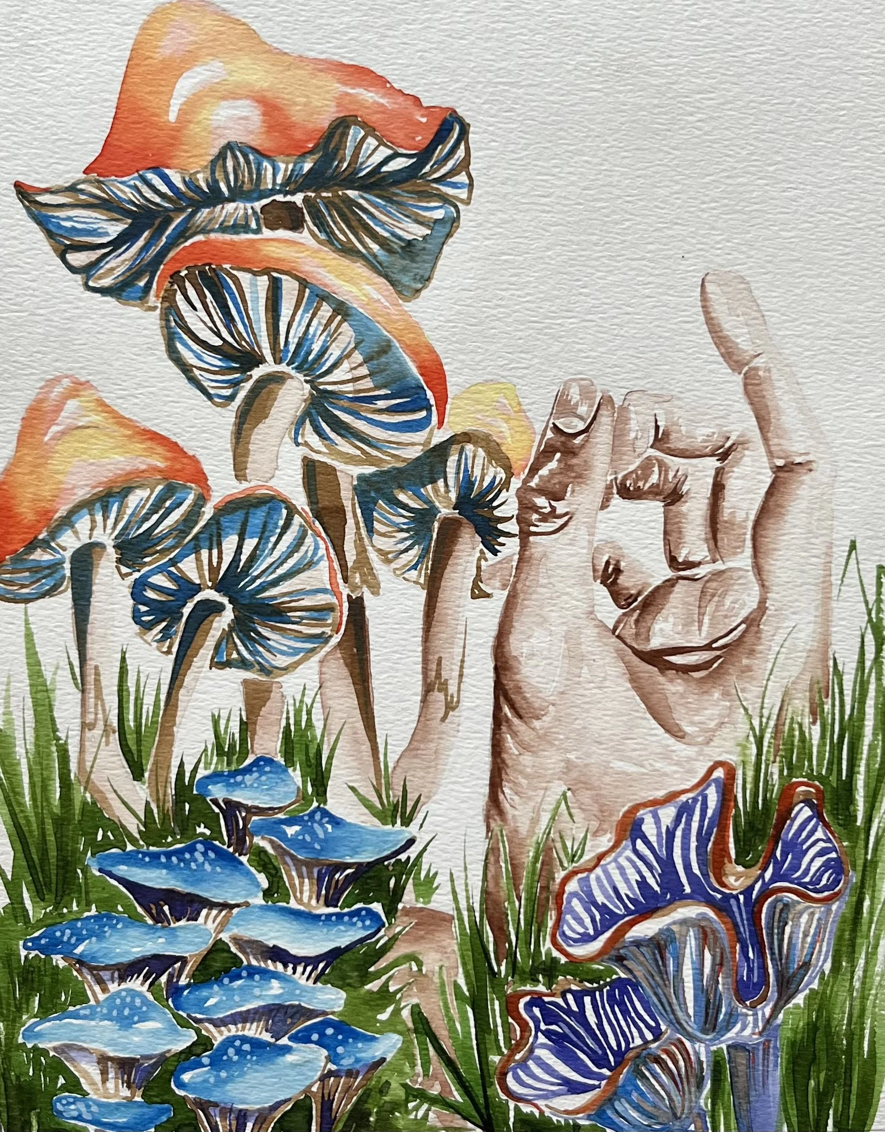 December 12 - Waxcap & Indigo