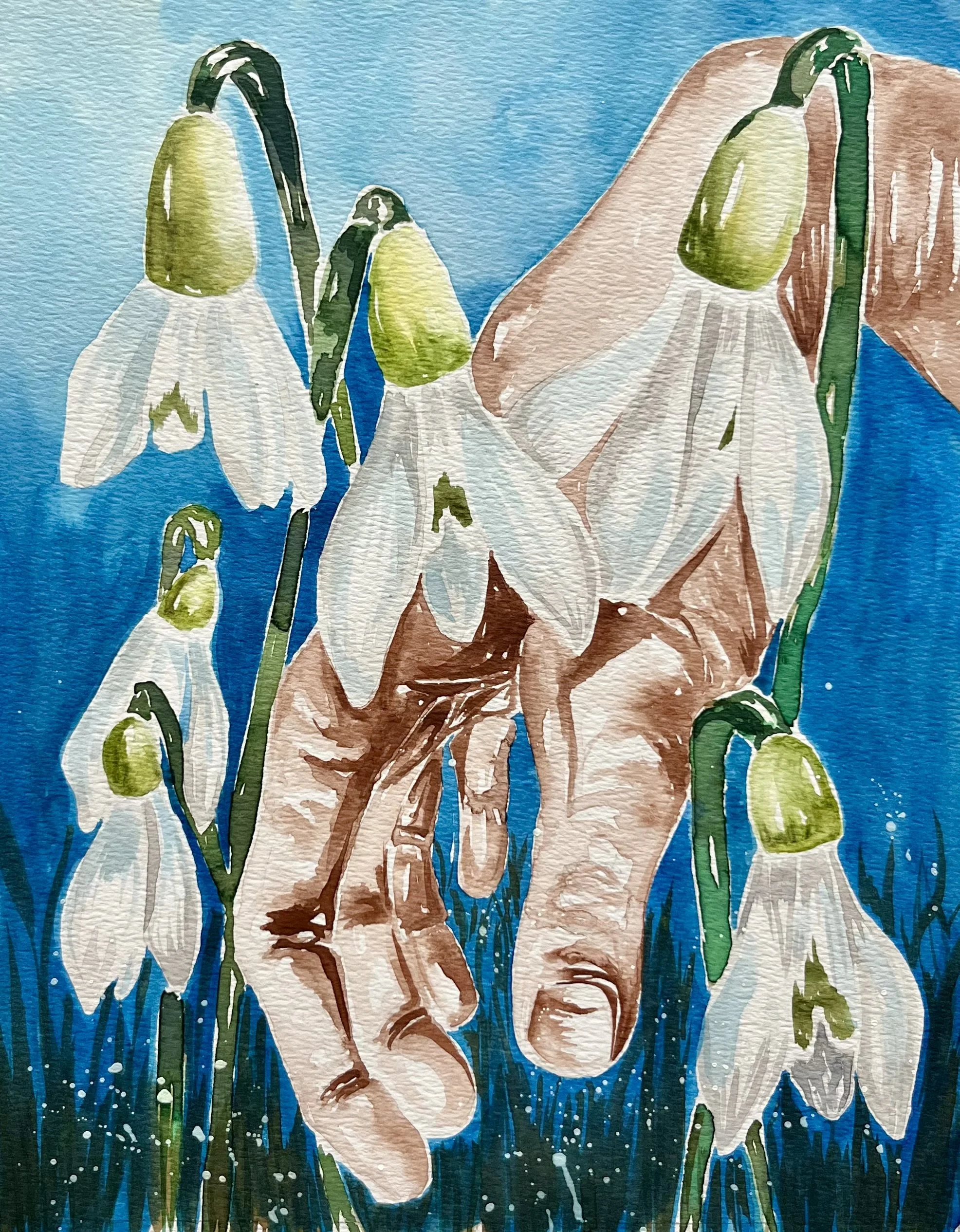 December 14 - Snowdrop