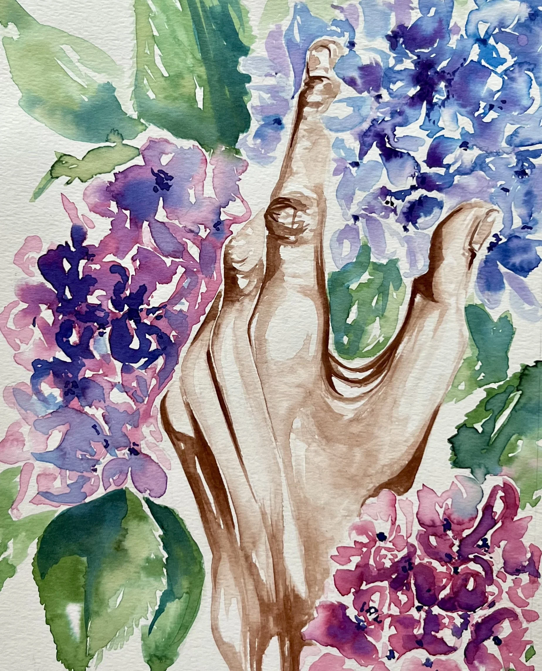 December 17 - Hydrangea