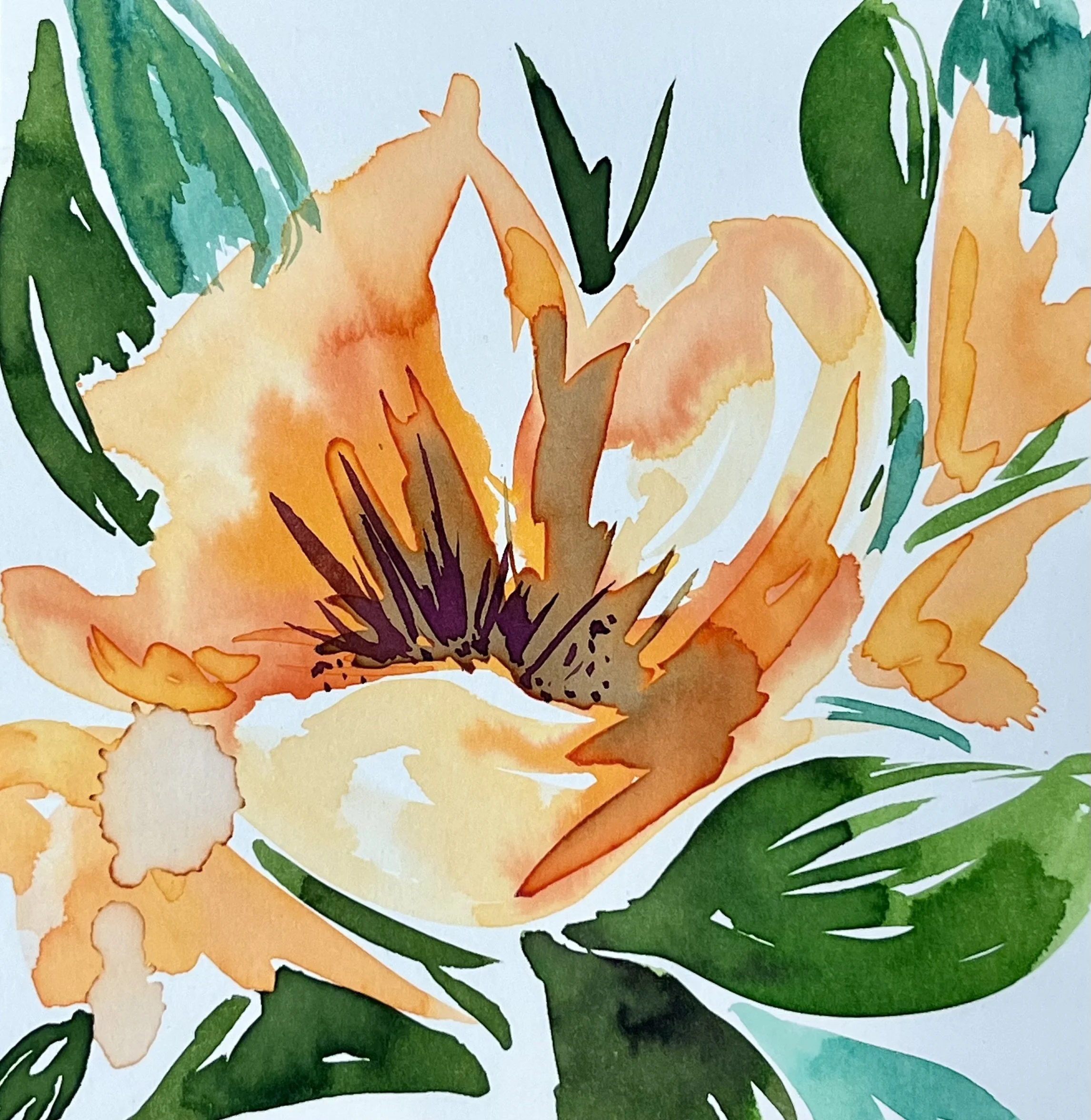 Flower Study 2