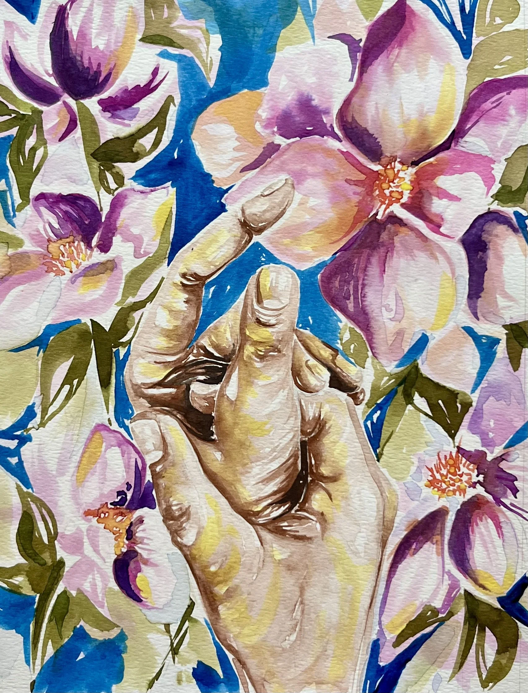 December 5 - Anemone