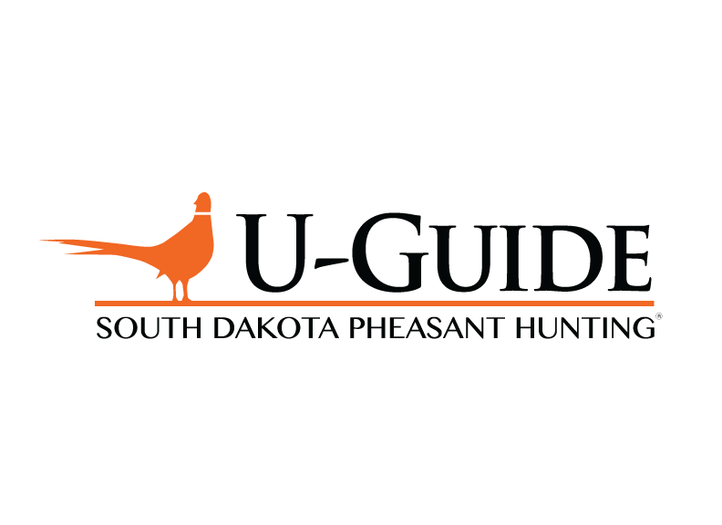 U-Guide-Logo-ColorVariation2.png