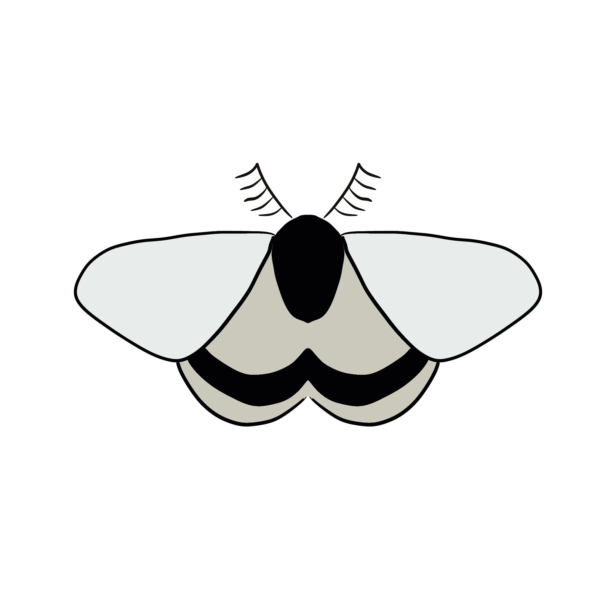 Simple_Moth_2.jpg