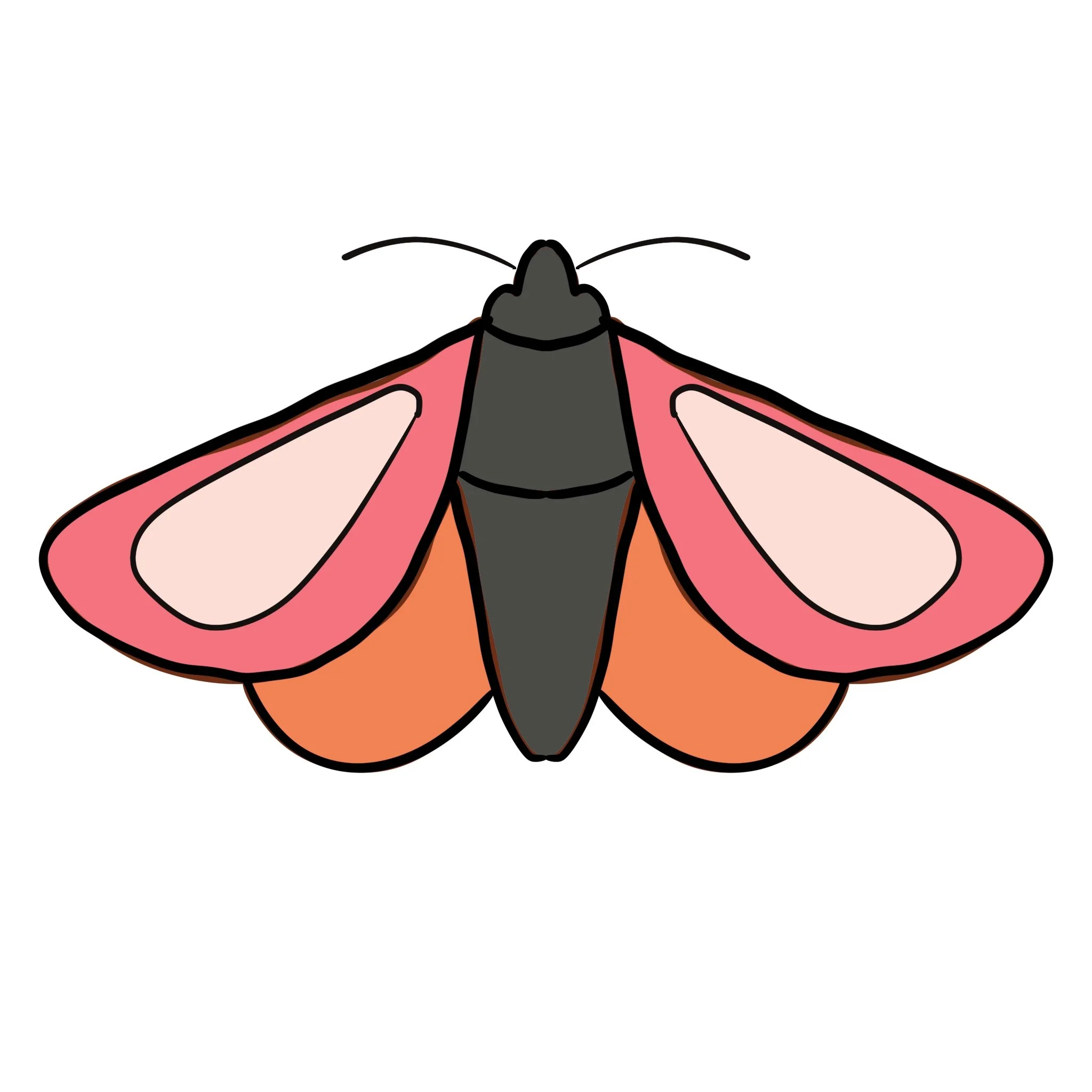 Simple_Moth_1.jpg