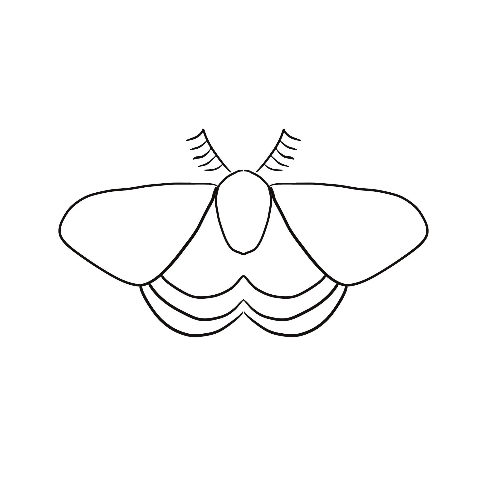 Black and White moth 1.JPG