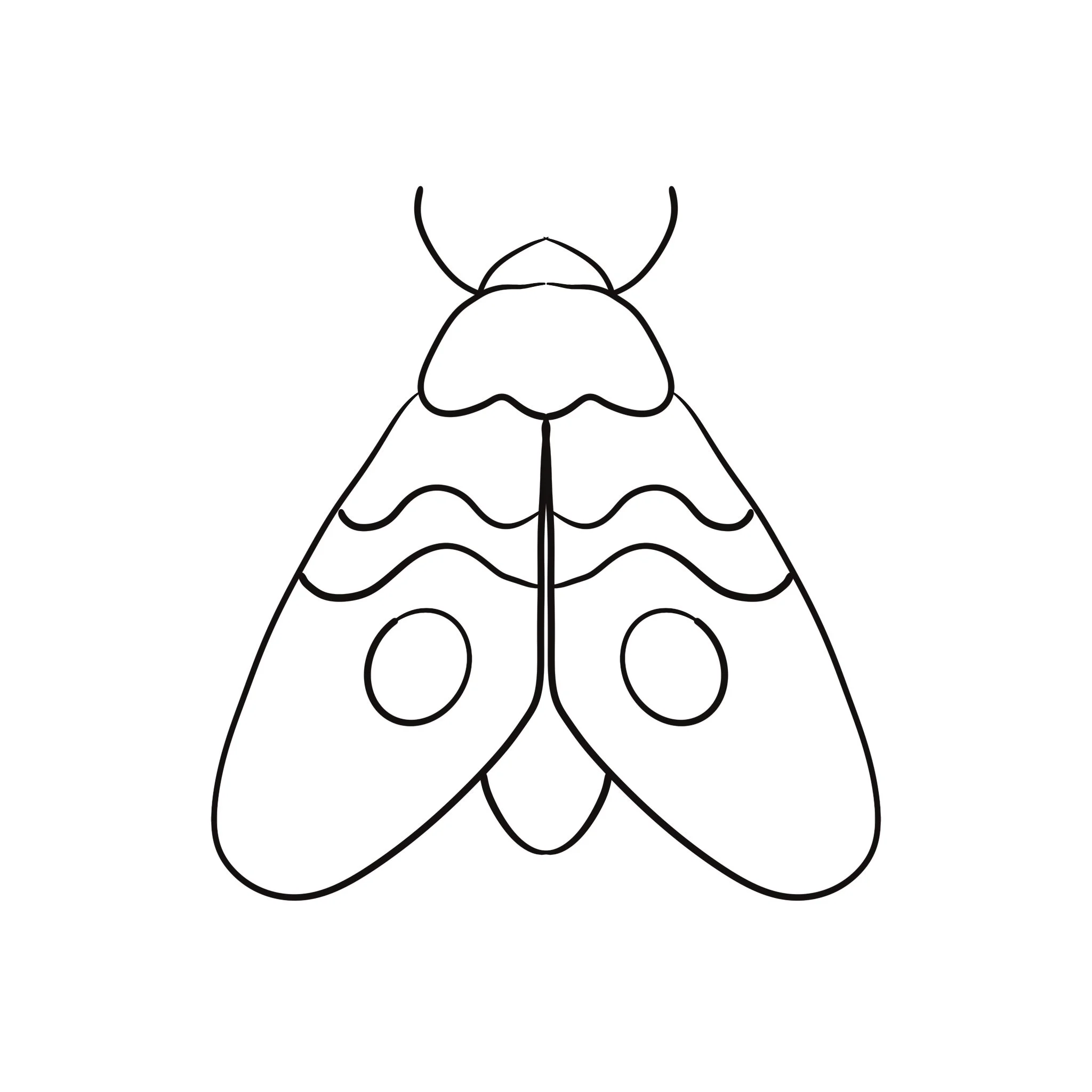 Black and white moth 2.JPG
