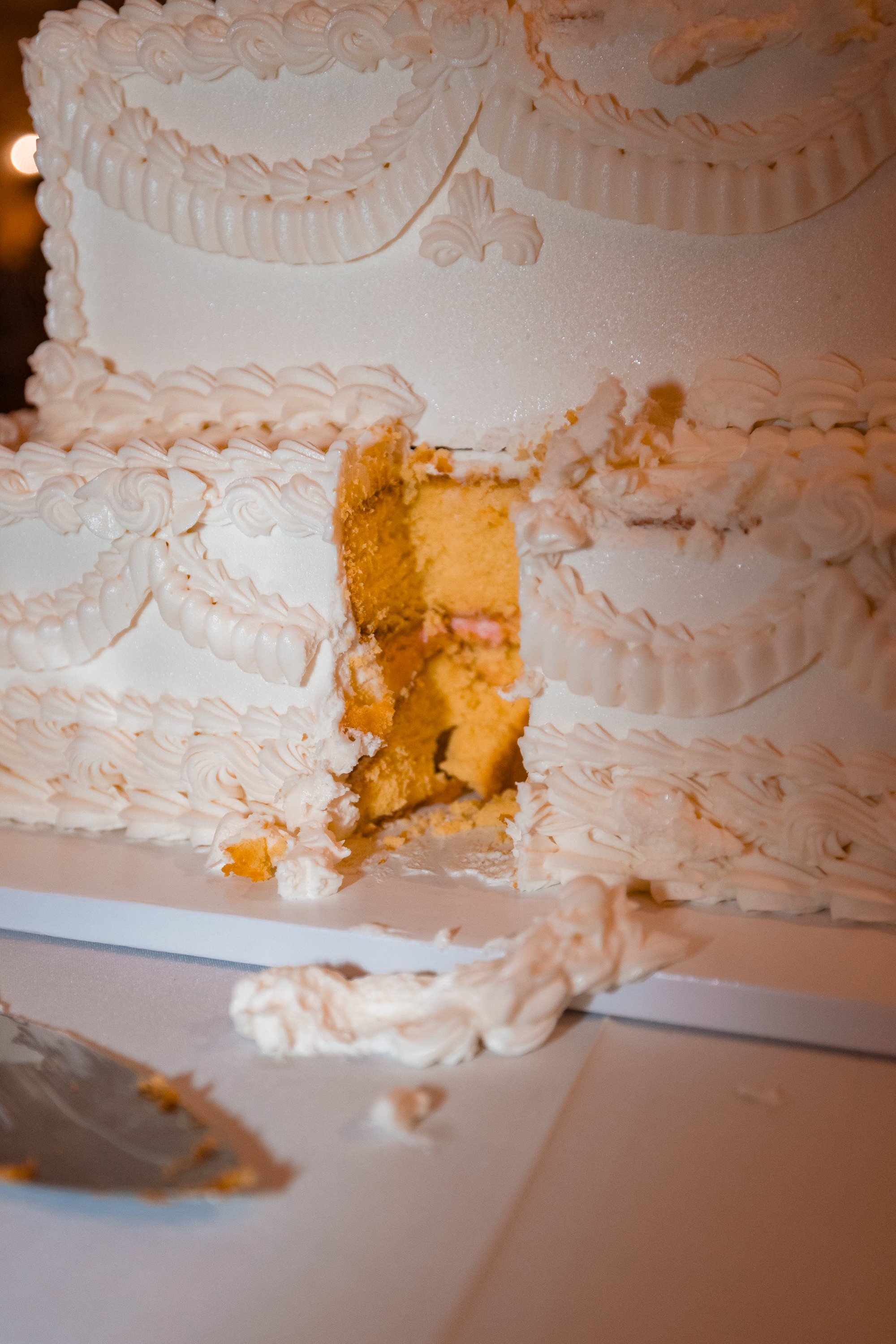 KAITLIN & JOE WEDDING AT RENAULT WINERY -45.jpg