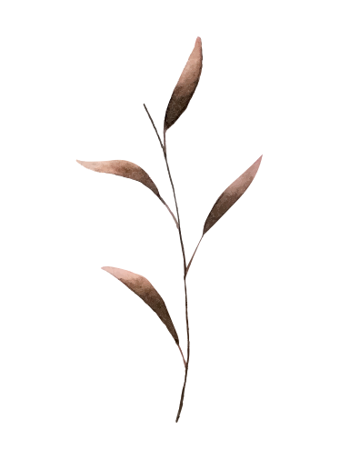 Minimalist plant illustration with curved leaves