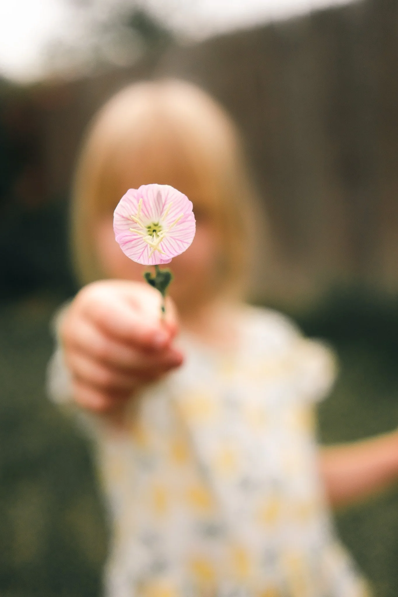 A young girl holding a pink and yellow flower towards the camera with a blurred background.