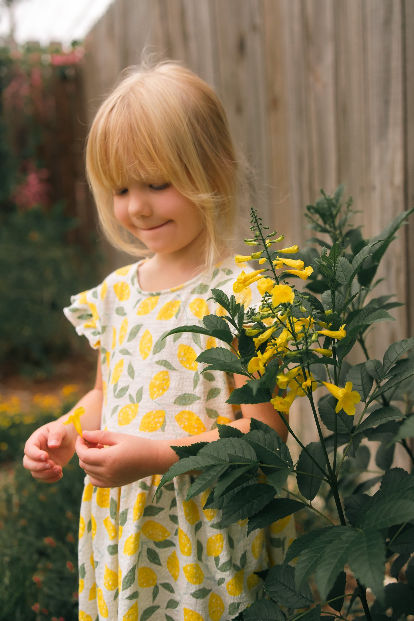 A young girl with blonde hair wearing a white dress with lemon prints, standing outdoors next to yellow flowering plants, and a wooden fence in the background.