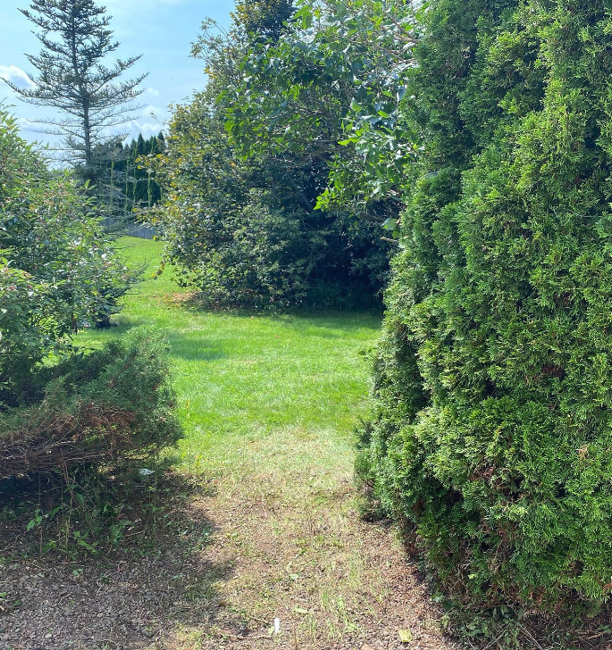 Screenshot 2022-12-11 at 7.35.16 PM.png