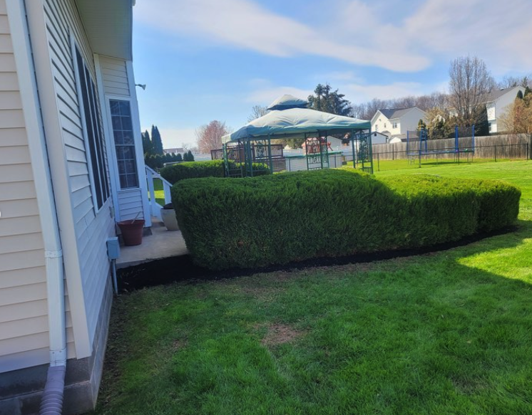 Screenshot 2022-12-11 at 7.40.53 PM.png