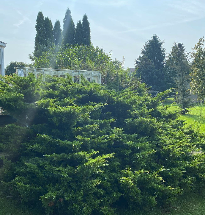 Screenshot 2022-12-11 at 7.35.26 PM.png