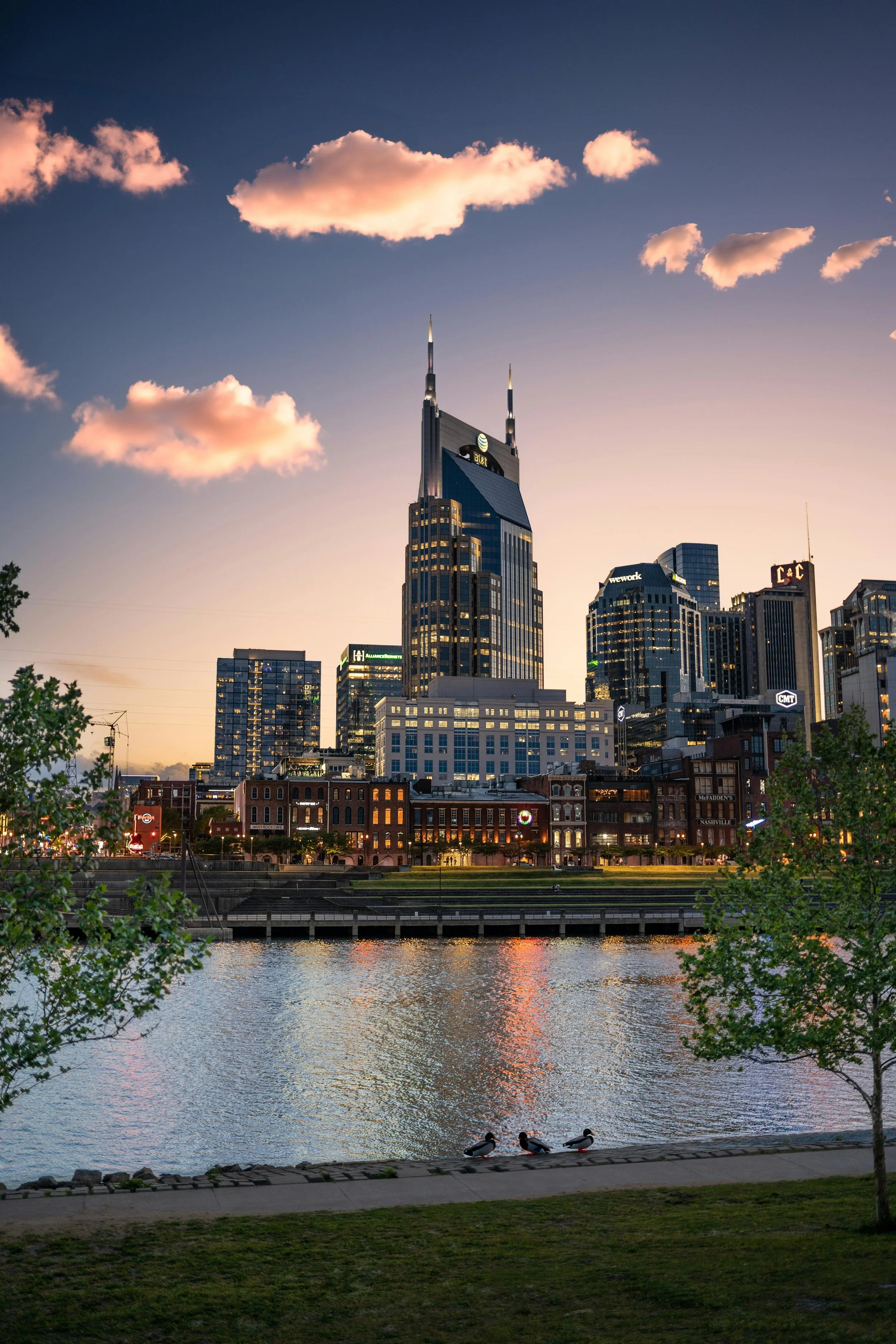 Skyline of Nashville, Tennessee at sunset, with the AT&T building, known as the 'Batman Building', reflected in the water, three ducks on the riverbank, and pink clouds in the sky.