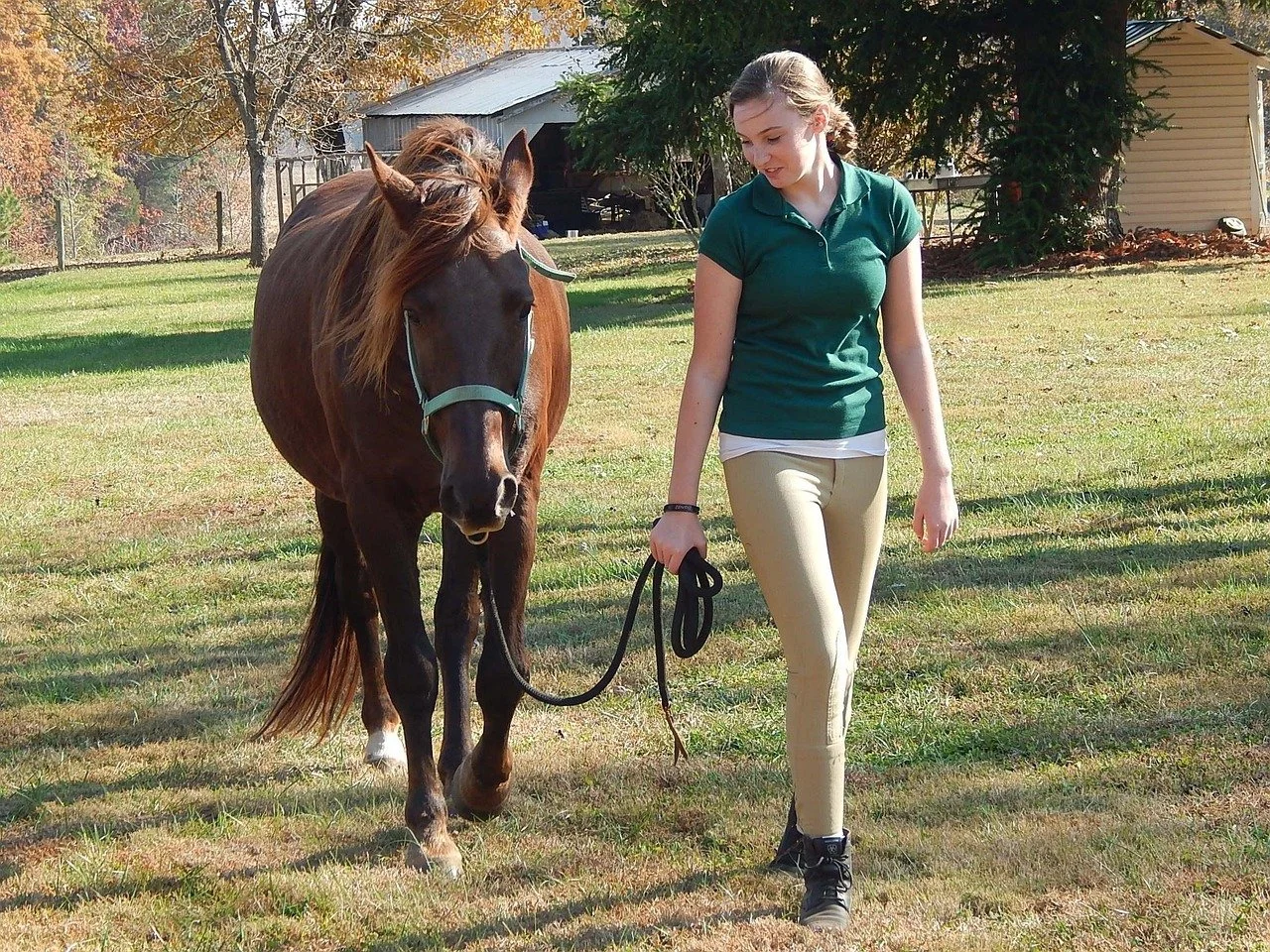 A young woman walking a brown horse on a grassy field on a sunny day with trees and a building in the background.