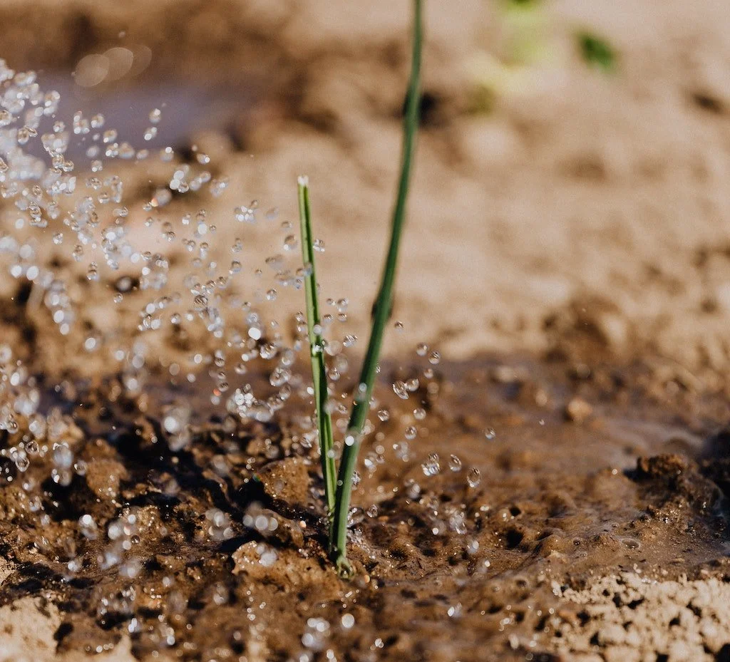 Do Home Warranties Cover Irrigation Systems? — Porch Warranty