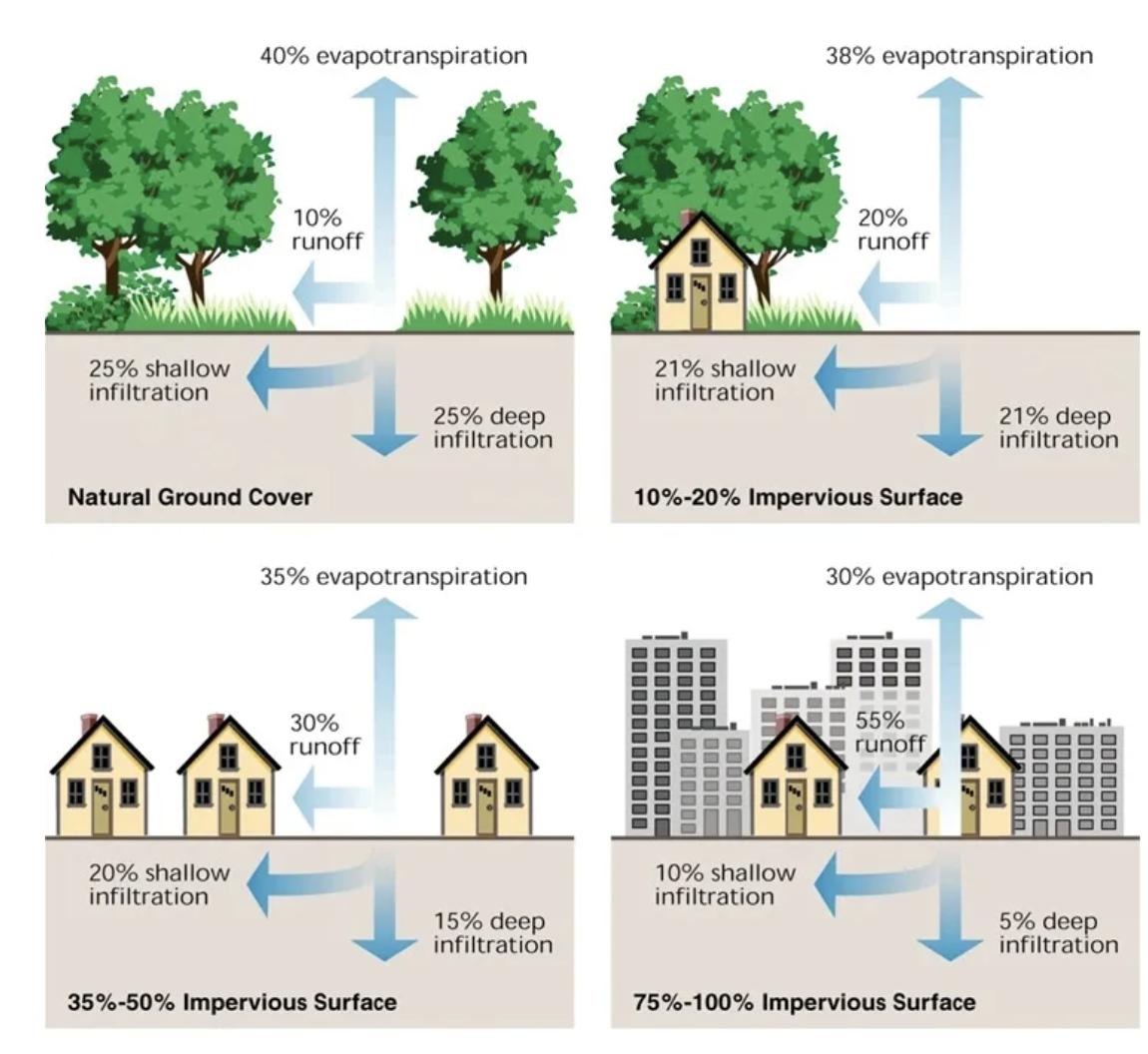 A diagram comparing water infiltration and runoff percentages across various ground covers: natural ground cover, impervious surfaces, and urban areas with buildings. It shows how water moves through different surfaces, with less infiltration and more runoff in urban areas.