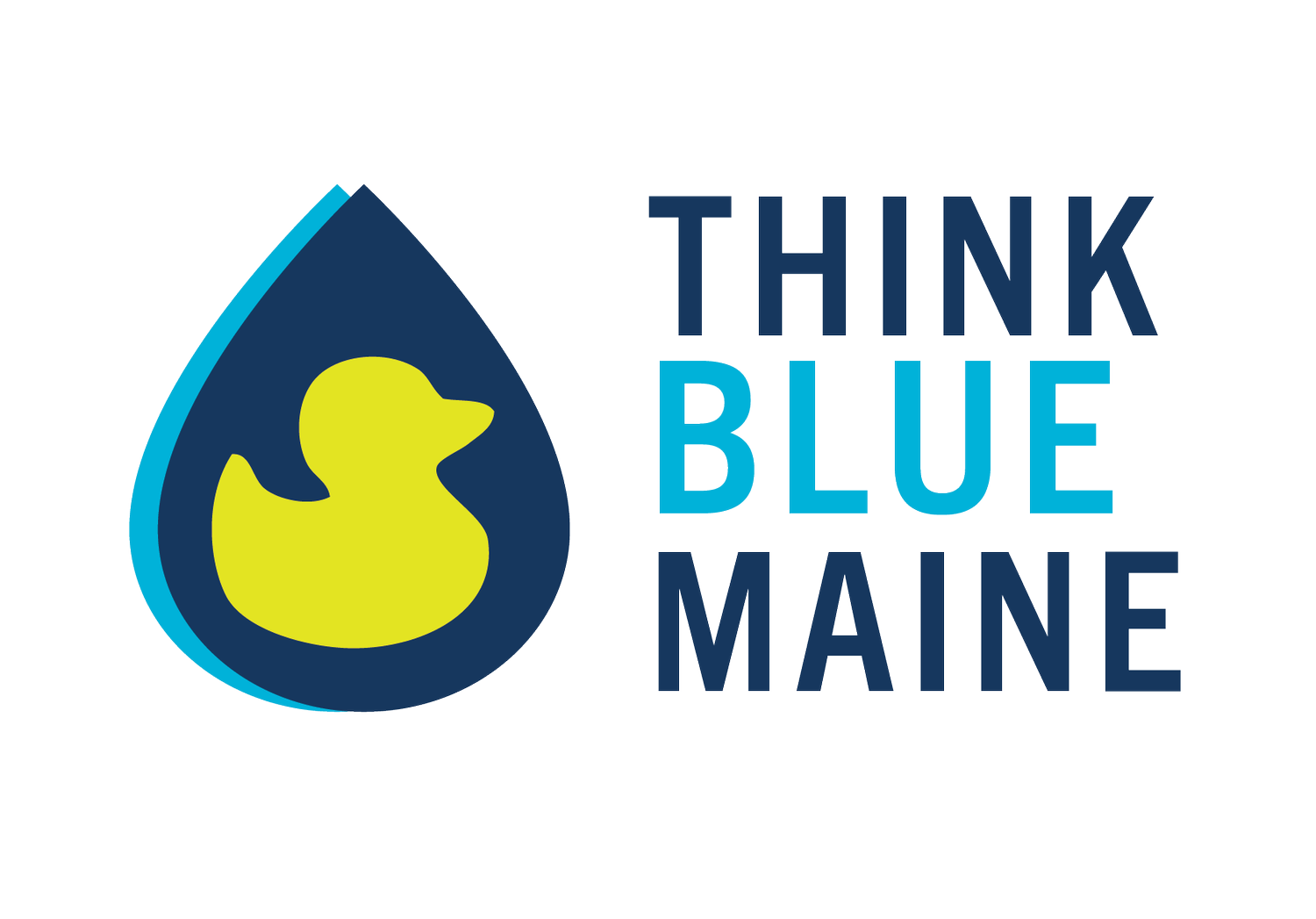 Think Blue Maine
