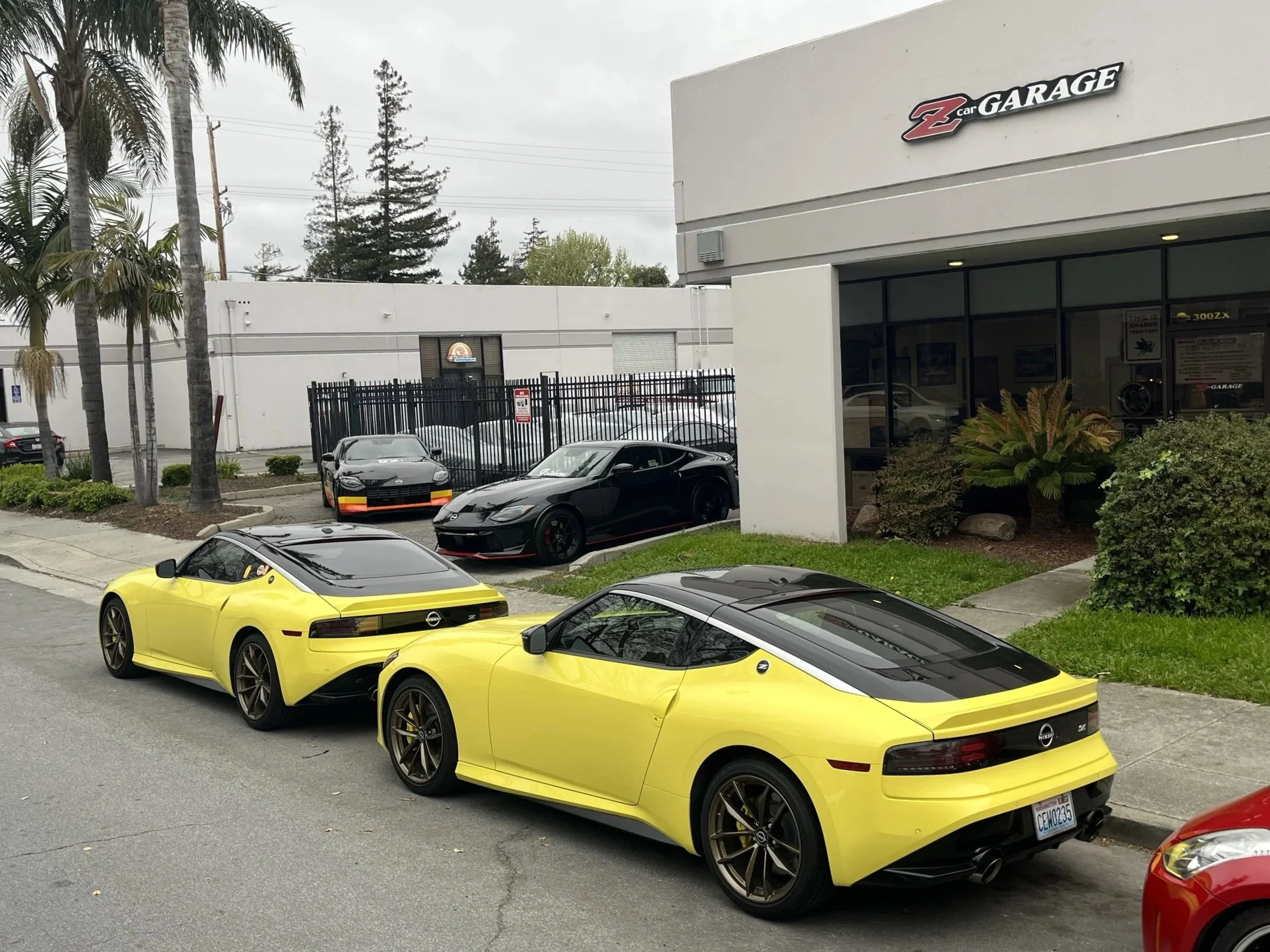 2yellowRZ34.jpg