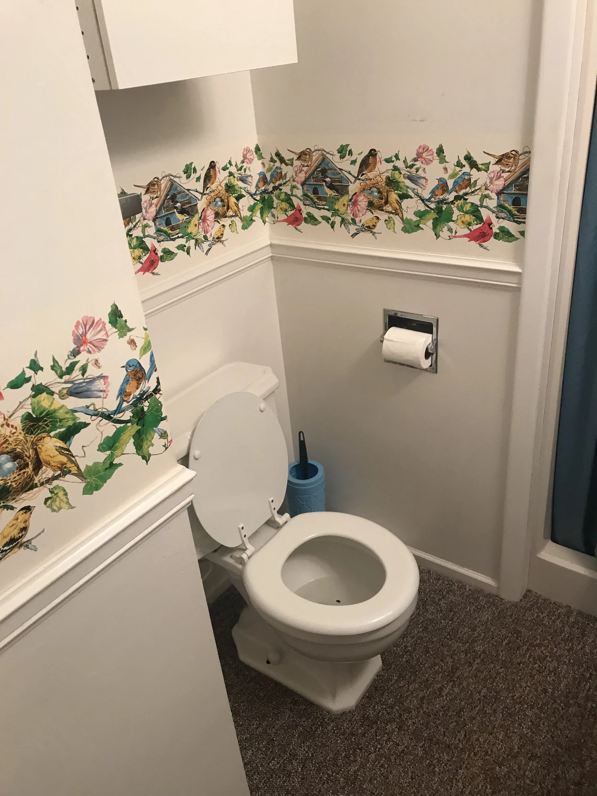 A bathroom with a decorative border of birds, birdhouses, and flowers on the wall, a toilet with the lid up, a blue toilet brush holder, and a roll of toilet paper.