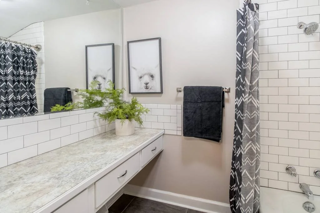 A bathroom with a white tiled shower area, a countertop with a potted green fern, framed animal art, and black towels hanging on a towel rack.