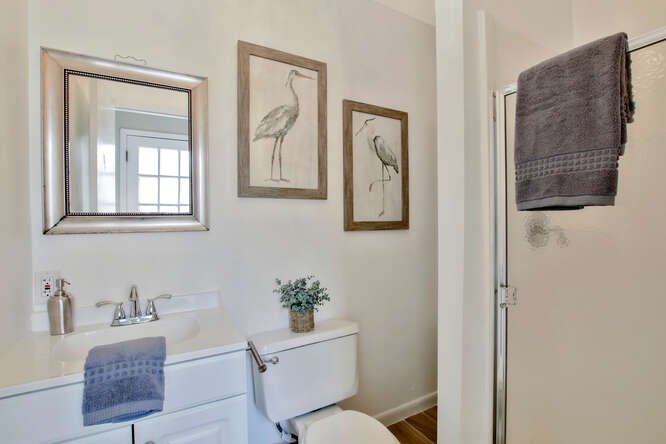 Bathroom with a white vanity, a mirror, framed bird artwork on the wall, a grey towel on a rack, and a toilet with a plant on the tank.