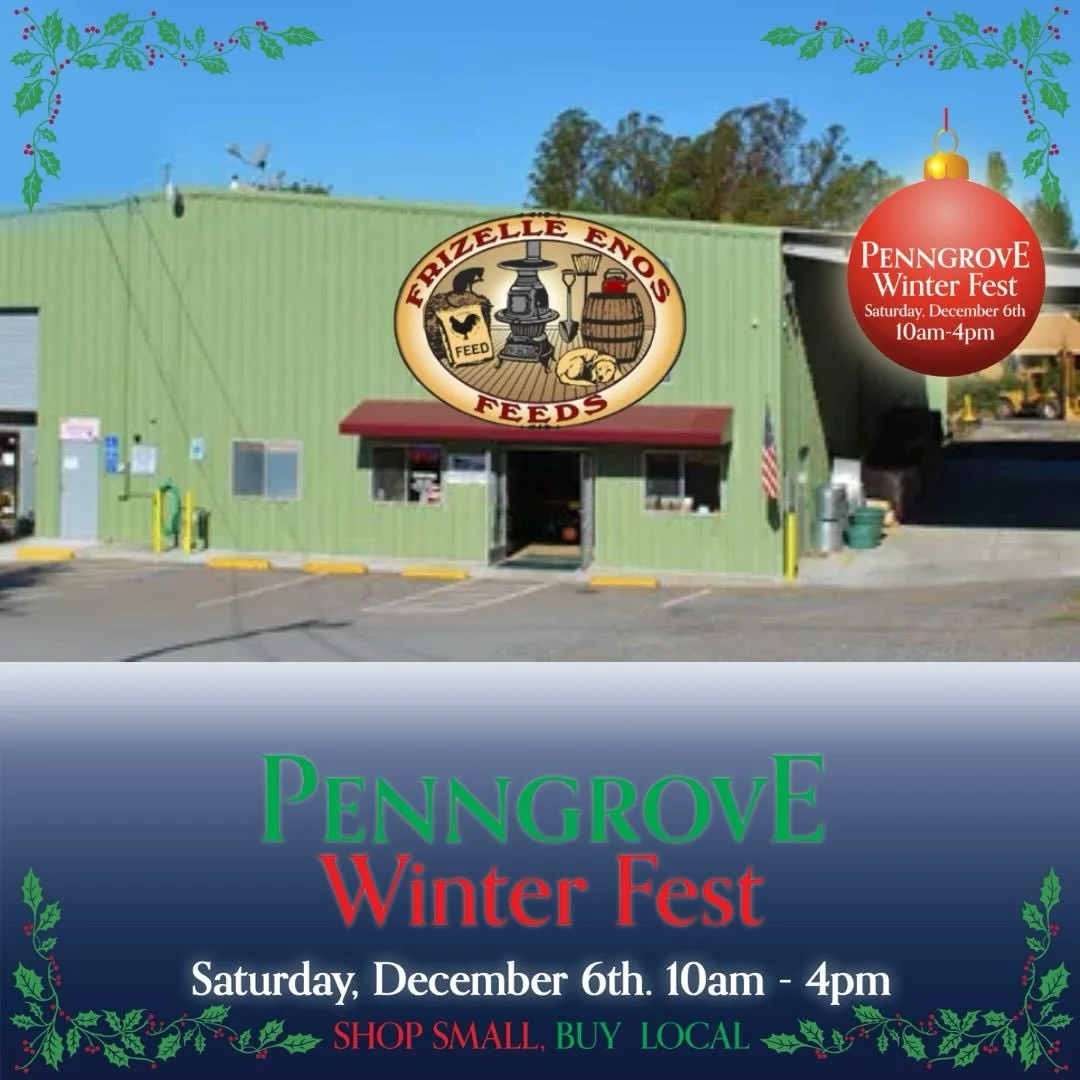 🐾🎄 Winterfest Special at Frizelle Enos! 🎄🐾

Stop by Frizelle Enos during Winterfest for an exclusive community perk:
 
✨ Free Annual Loyalty Cards &mdash; enjoy 5% off all year long
✨ Free Renewals for any expired loyalty cards
 
It&rsquo;s the p