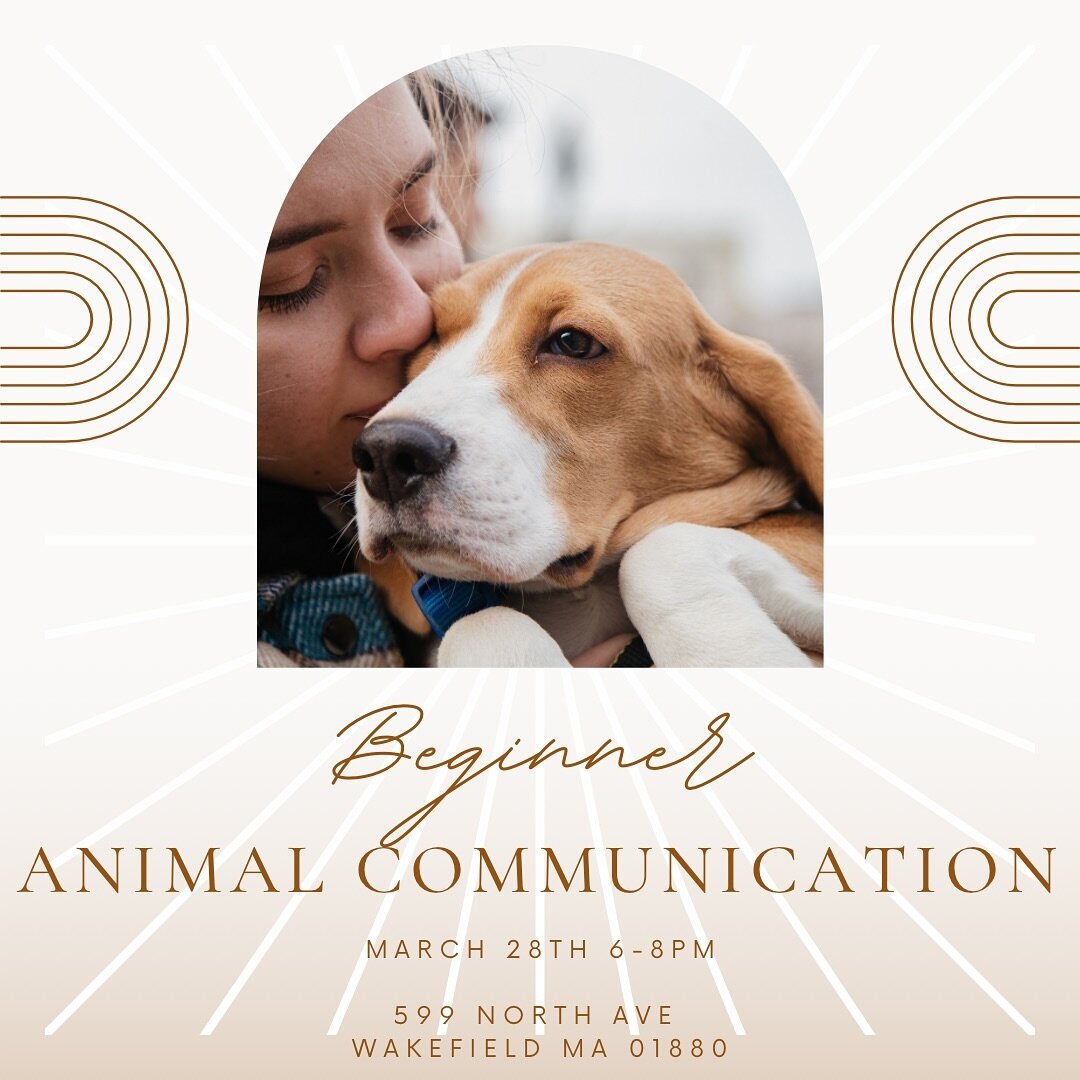 Do you love animals and want to deepen your relationship with them? Do you often wonder what your pet is thinking/feeling or what they want/need from you? Do you want to communicate with them but not sure you have the psychic ability to so? Animal Co