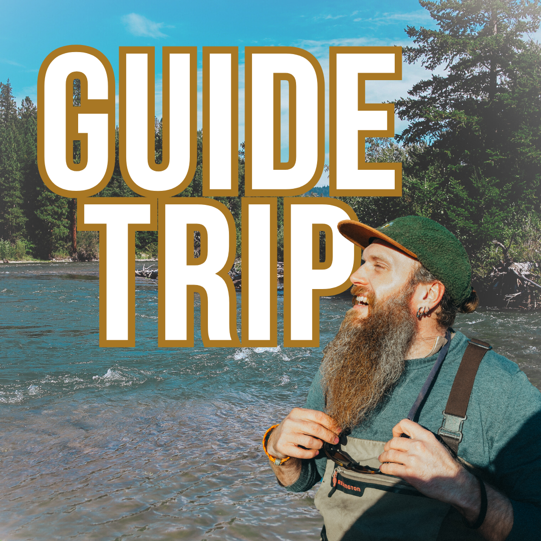 Nate Guide Trip Availability