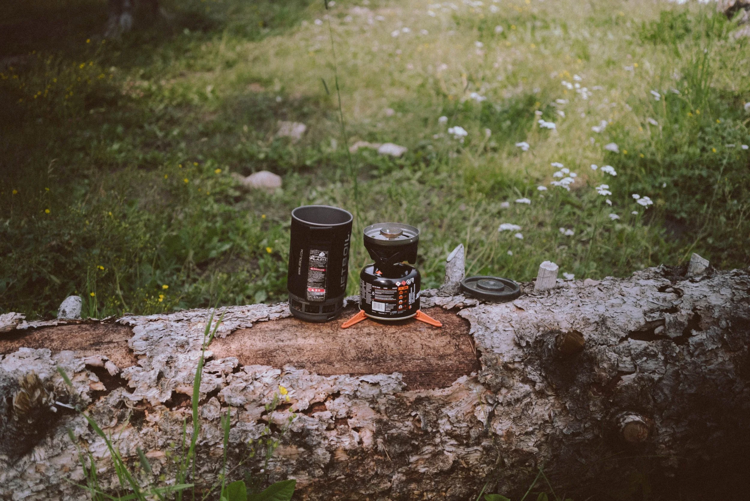 Camping stove and cup on a fallen tree in a grassy outdoor area.