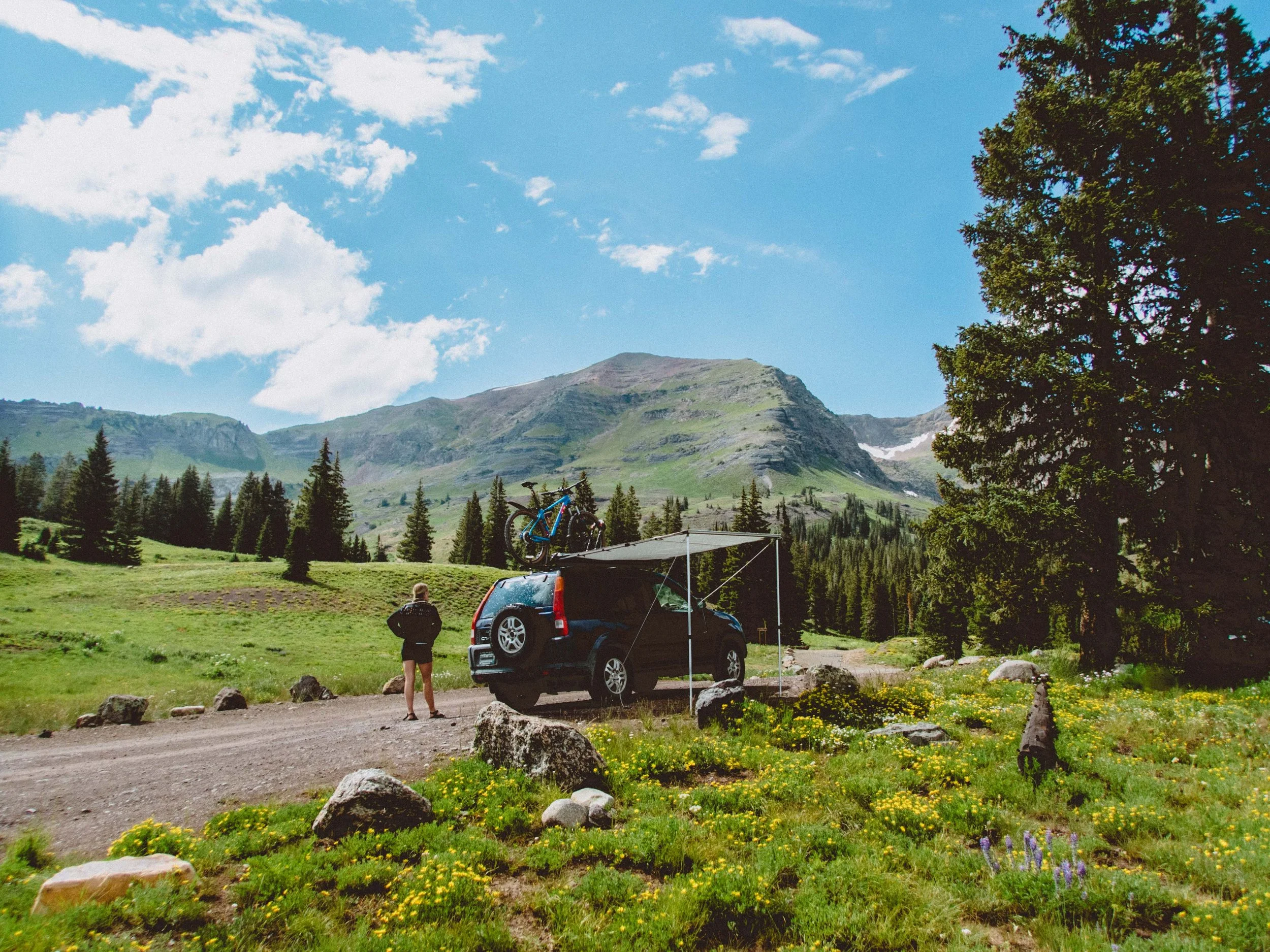 Person standing next to a black SUV with a bicycle on top, parked in a lush green mountainous landscape with trees, rocks, and colorful wildflowers under a partly cloudy sky.