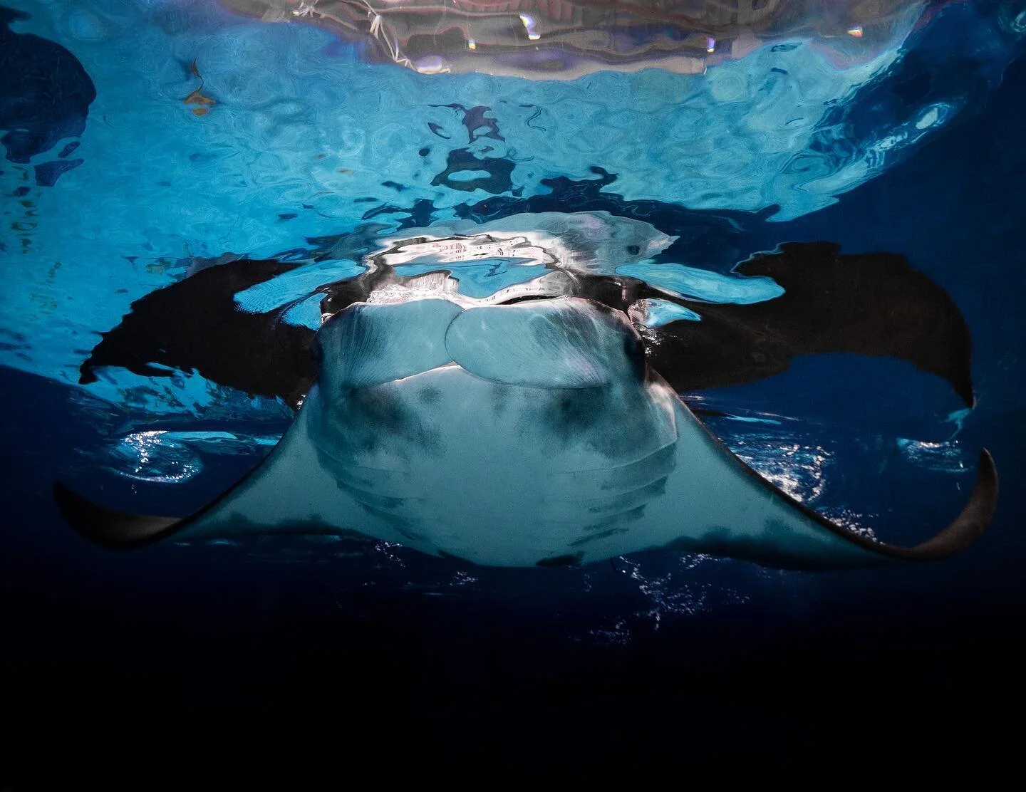 When the clock hits 5 on Friday 🍹