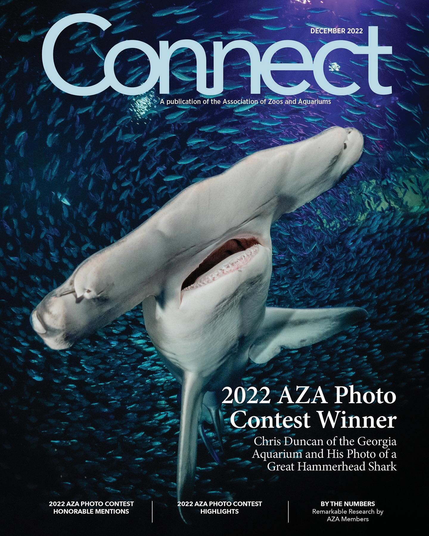 Feeling grateful to end the year on a high note. Bring it on, 2023! Let&rsquo;s go get hammered 🦈