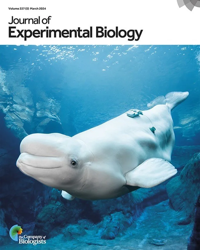 Another win for my company and my first research journal cover. Extremely proud to work with such brilliant people. 🤙🏼
&bull;
We are thrilled to share a recent study with University of California, Santa Cruz, NOAA Fisheries Alaska, and Georgia Aqua