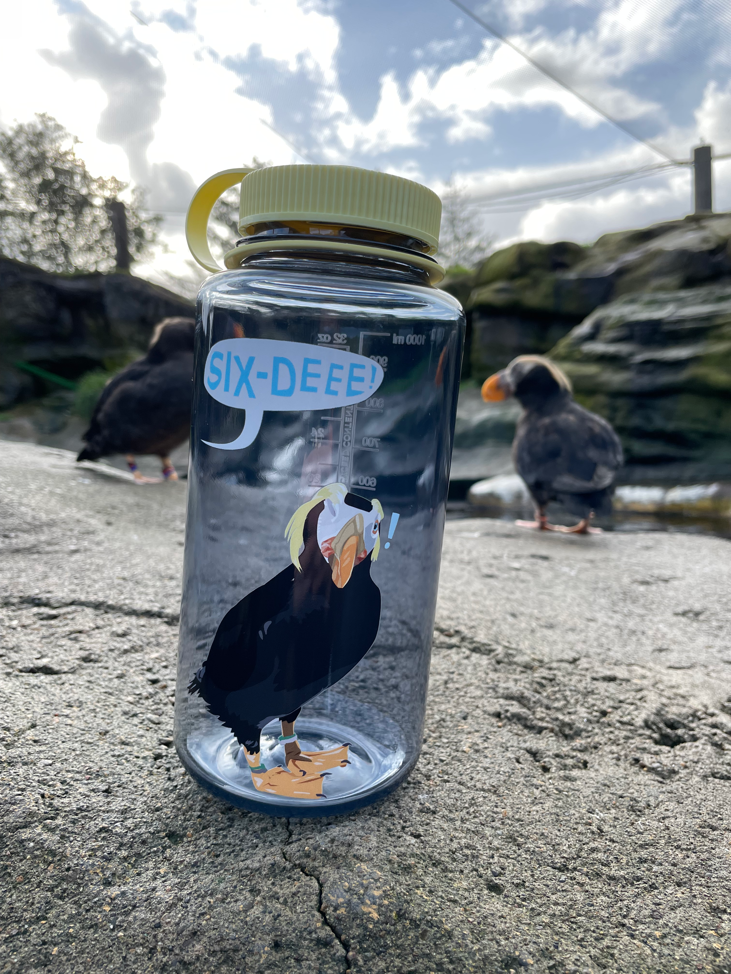 Tufted Puffin Portrait on Water Bottle, 2024