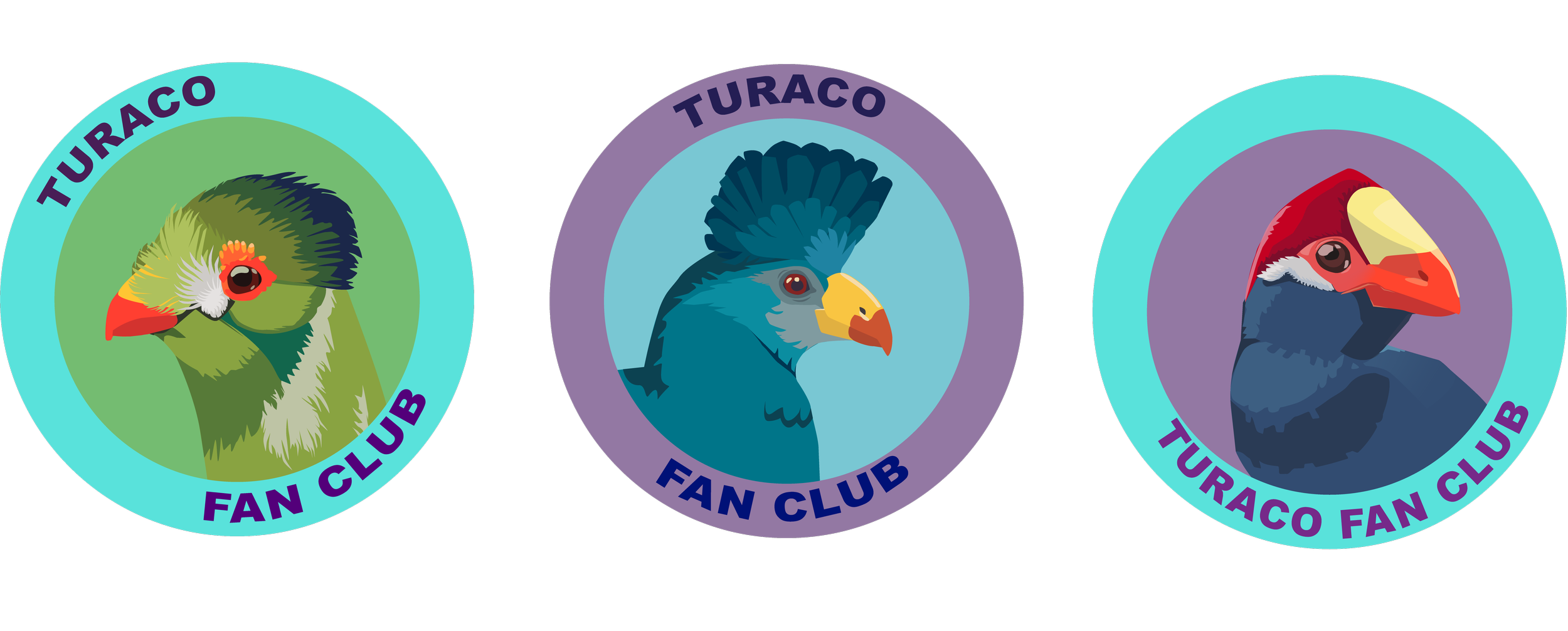Turaco Portraits, 2023