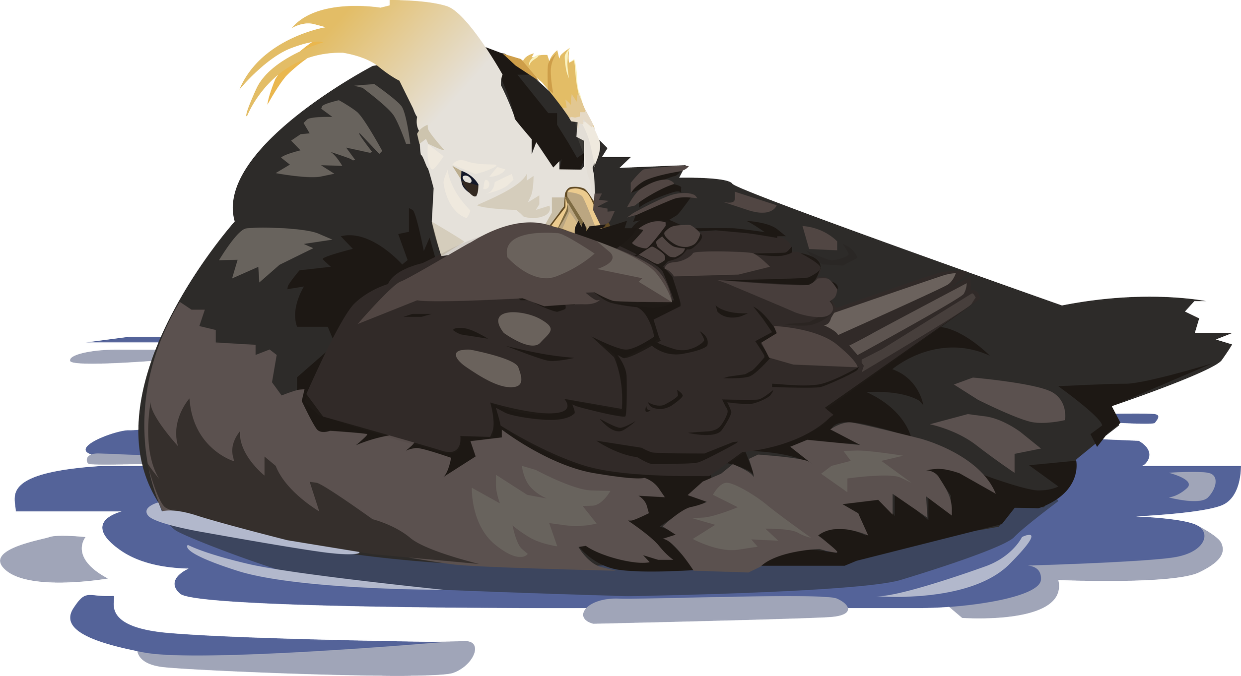 TP10 BASE LAYER.png