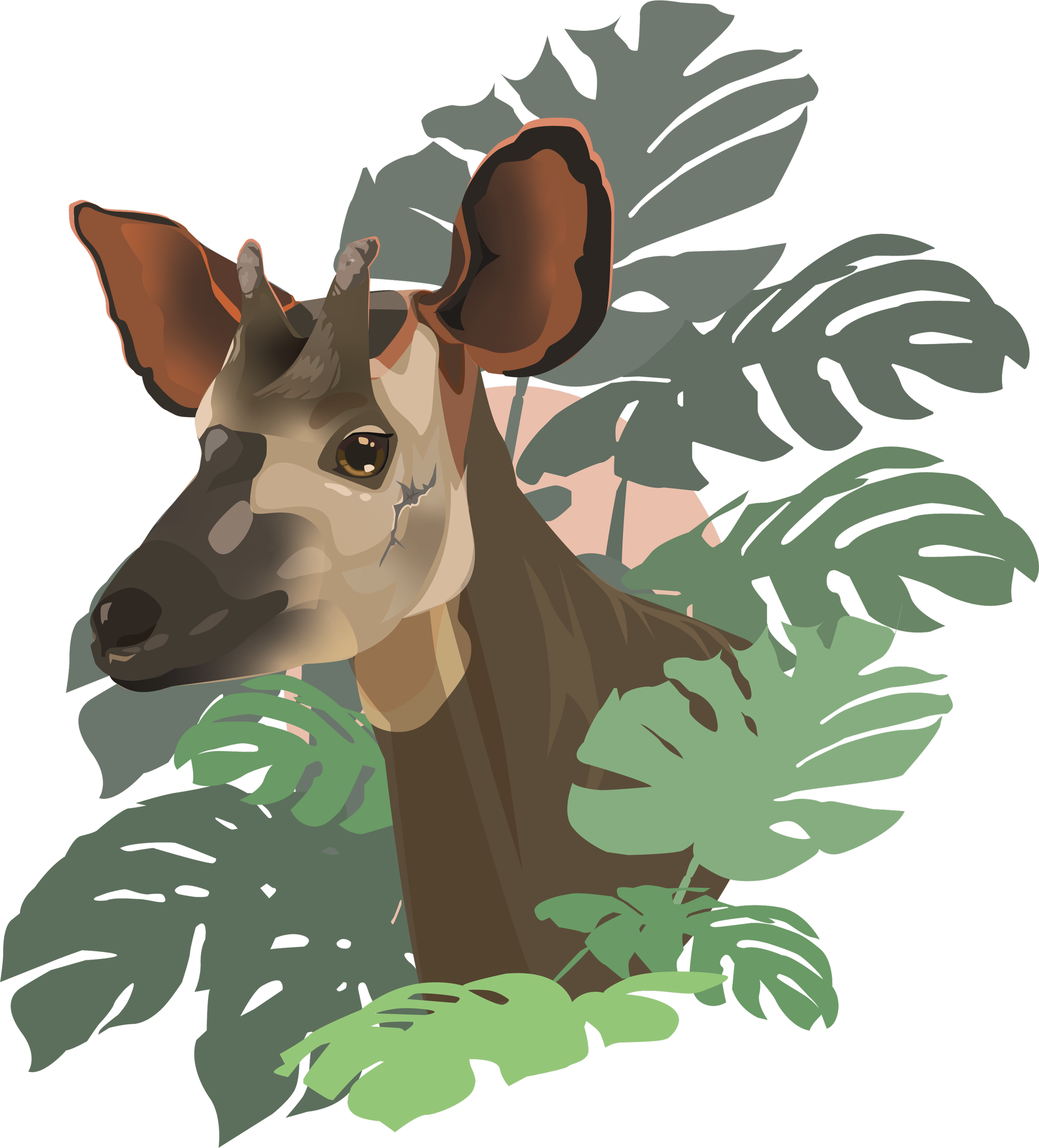 okapi portrait.png